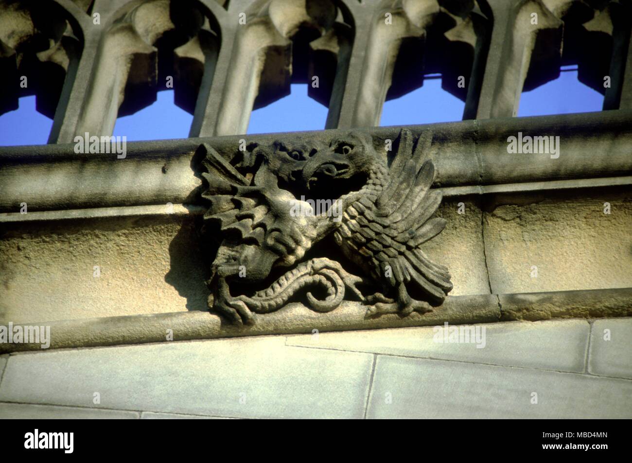 Drachen kämpfen - westwand Kathedrale von Manchester. ©/Charles Walker Stockfoto