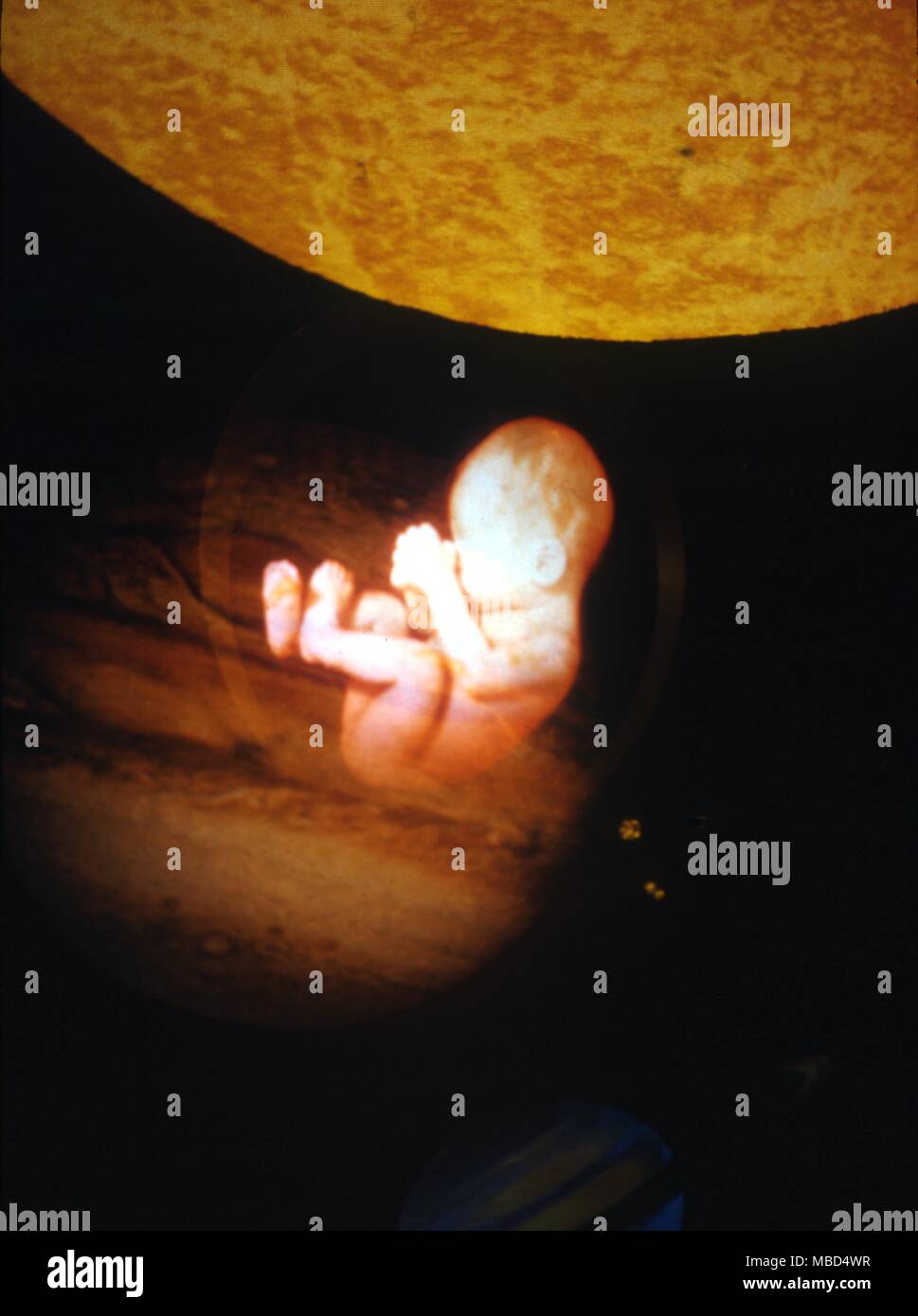 Träume - Embryo unter den Planeten - © Charles Walker/ Stockfoto