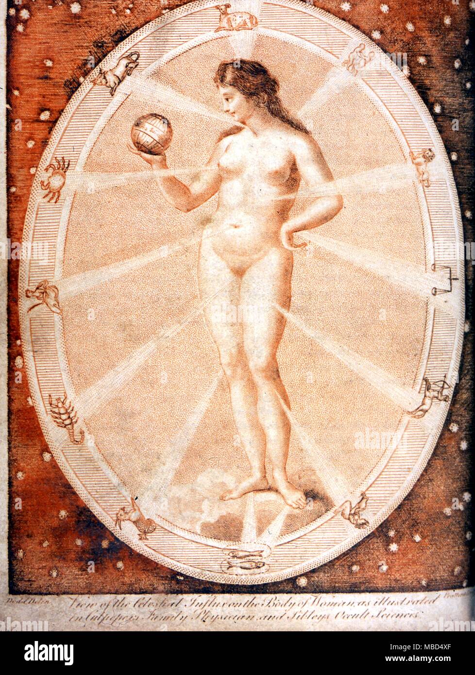 Melothesic weiblichen Tierkreiszeichen Frau aus der Ausgabe 1805 der "Culpeper's englischen Arzt und komplette Pflanzliche' Stockfoto
