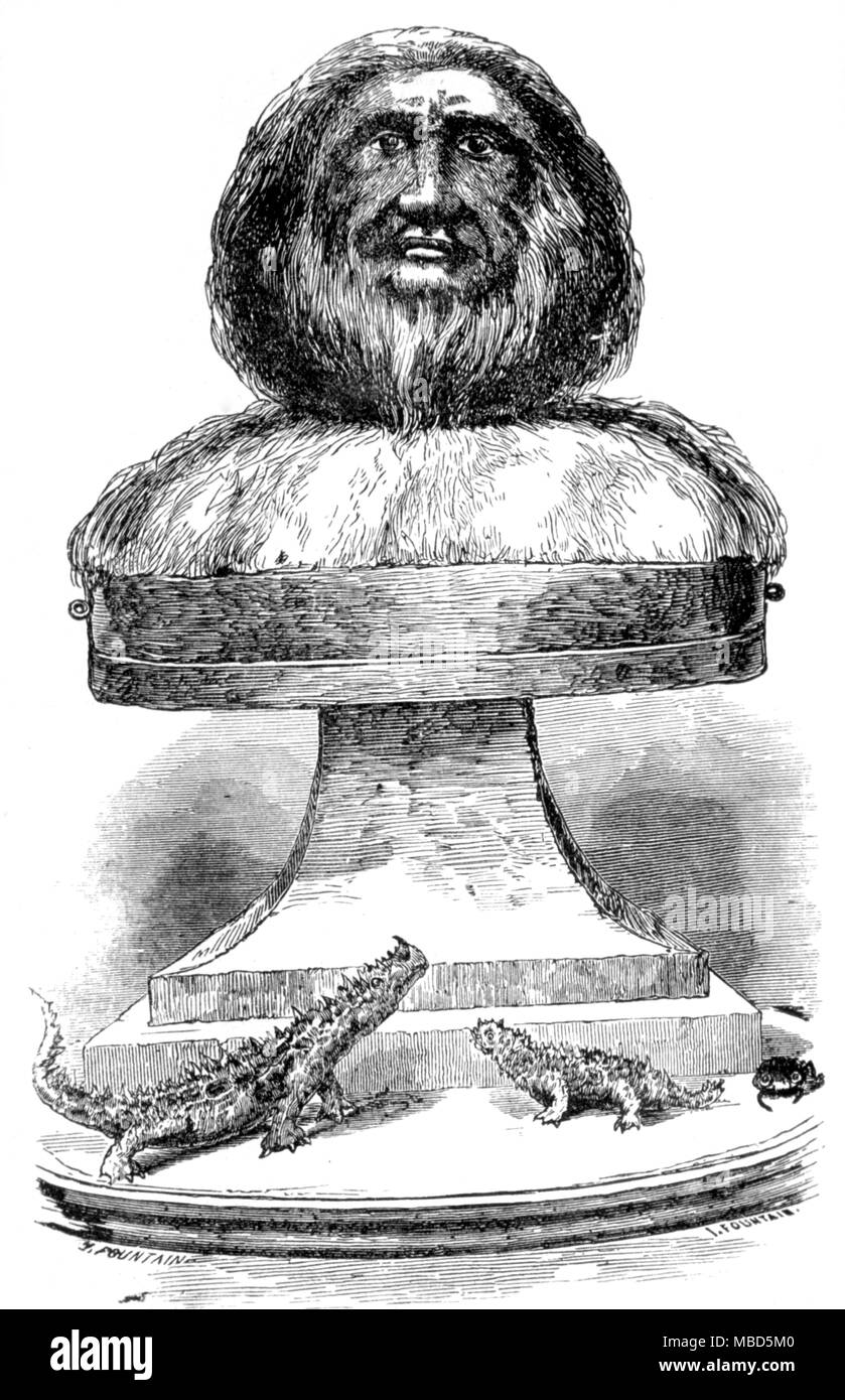 Monster. Die "UNSCHEINBAREN" - eine der Kreationen der präparator Charles Waterton, aus dem frontispiz auf seine "Wanderungen in Südamerika' 1828. Stockfoto