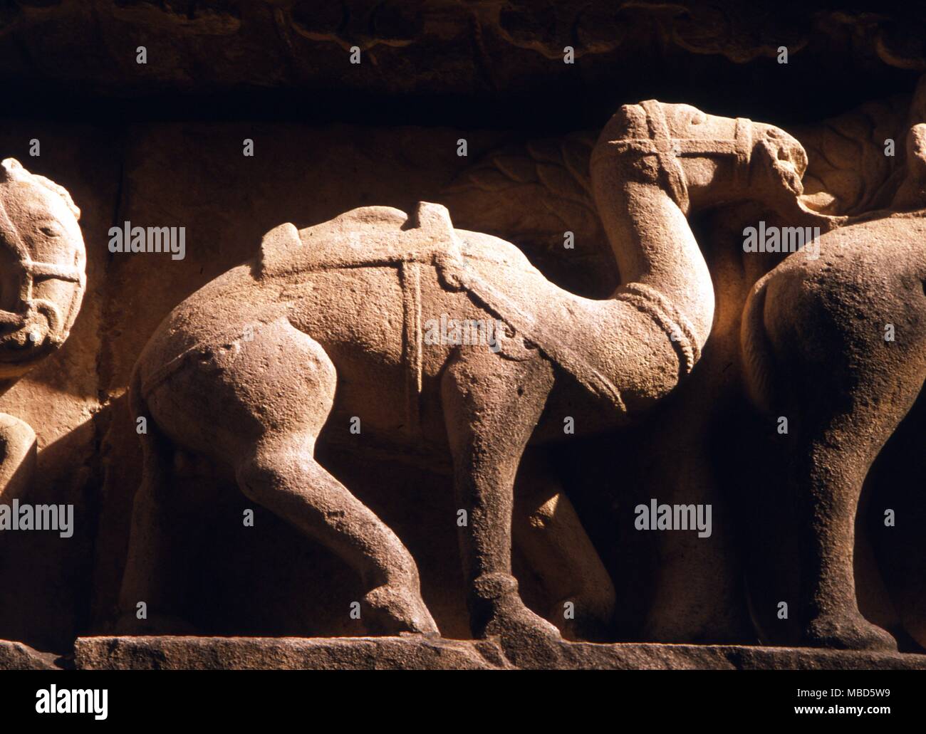 Indien - Khajuraho gemeißelte Figuren und Kamel auf der Fassade des Hauses des Lakshmana in Khajuraho ca. 950 AD Stockfoto