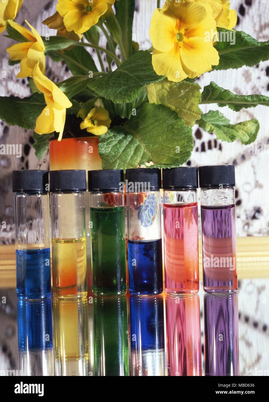 Aromatherapie Farbe Öle in Röhrchen, für den Einsatz in aromatherapic Massage gedacht. Stockfoto