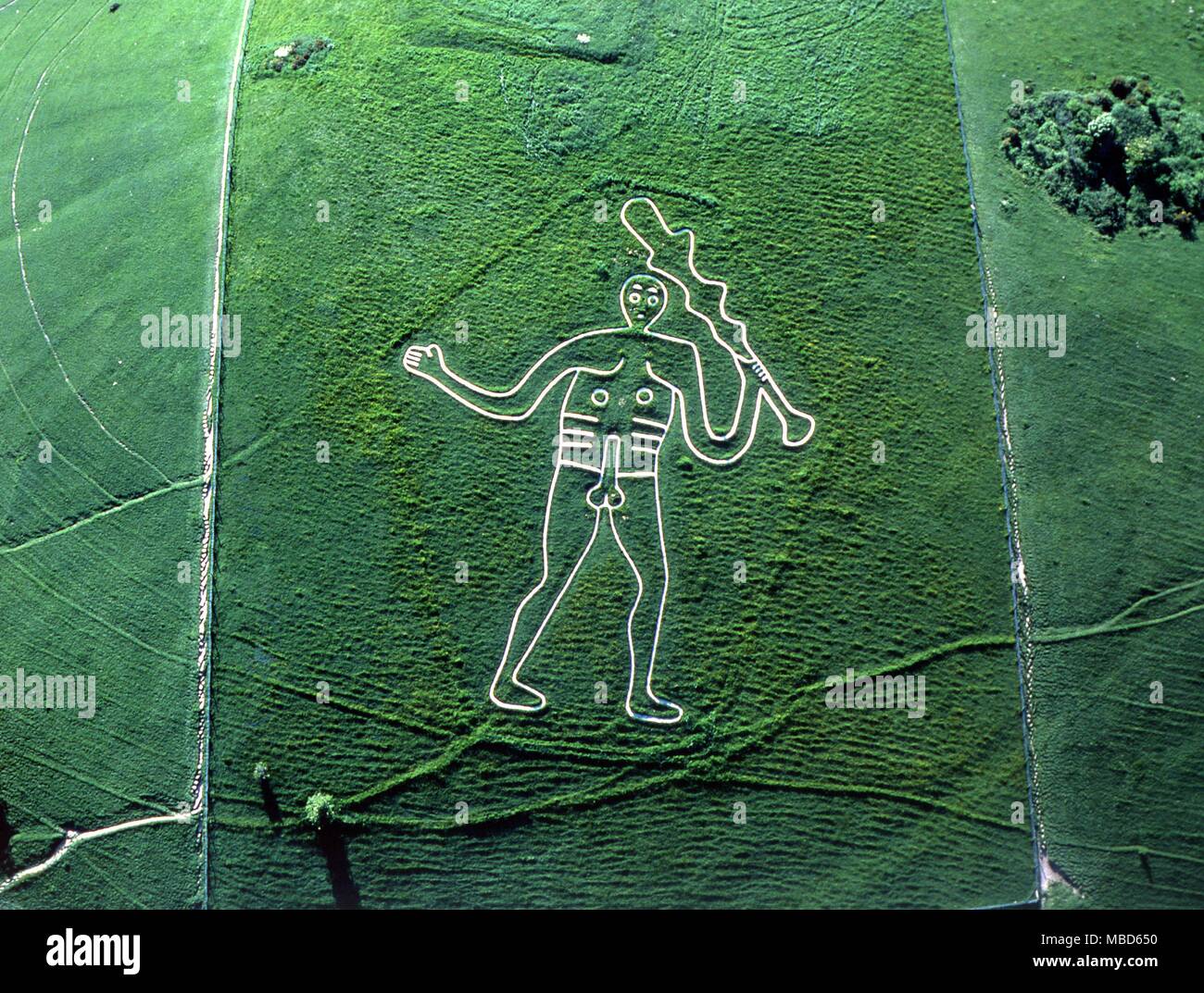 207. Cerne Abbas, England der Cerne Abbas Giant (Hill Abbildung) © 2006 Charles Walker/ Stockfoto