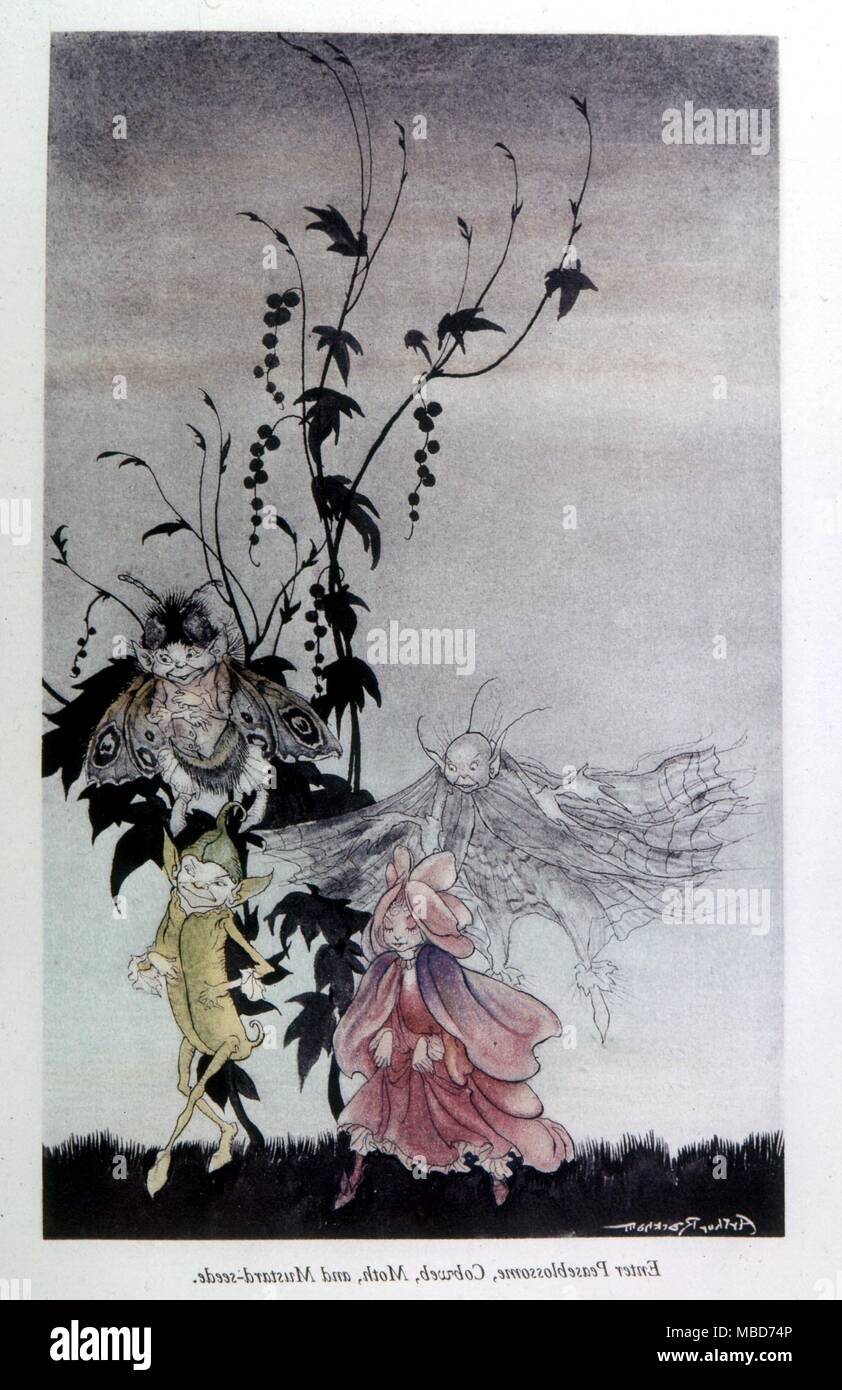 Elfen - Feen und Kobolde in der Abbildung von Arthur Rackham. Aus der Ausgabe 1939 von A Midsummer Night's Dream - Geben Sie Peaseblossom, Cobweb, Motten und Mustardseed Stockfoto