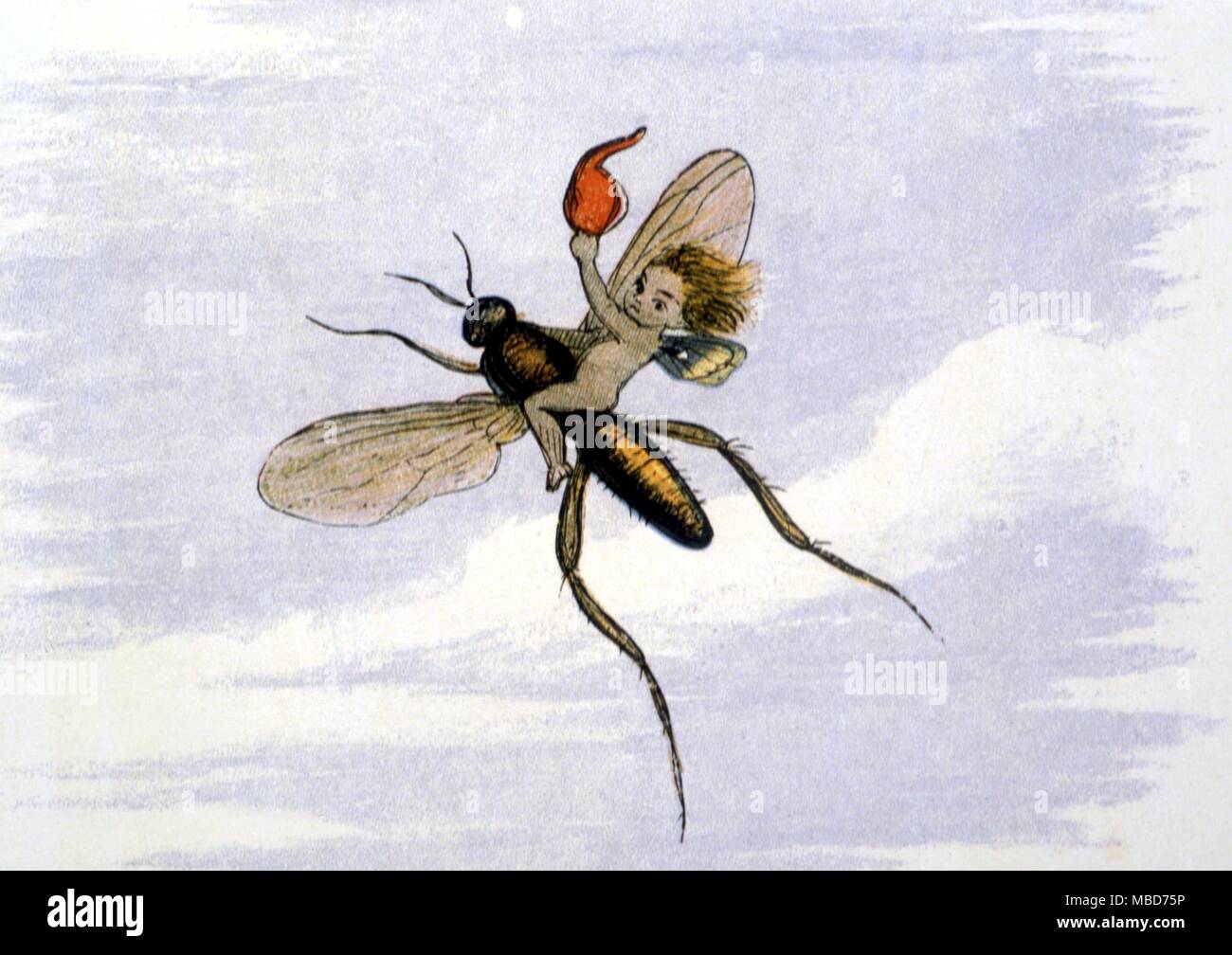 Feen und Elfen - Fliegen entfernt. Von Richard Doyle's im Märchenland. Eine Reihe von Bildern aus dem Elf-World, 1875 Stockfoto