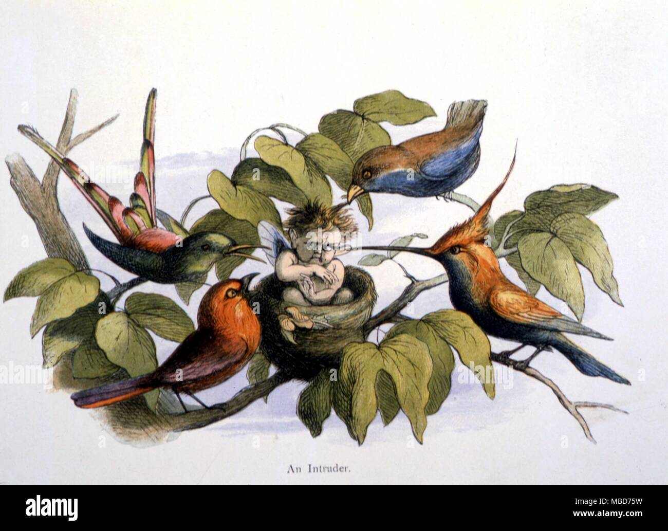 Feen und Elfen - "ein Eindringling' von Richard Doyle's im Märchenland. Eine Reihe von Bildern aus dem Elf-World, 1875. Stockfoto