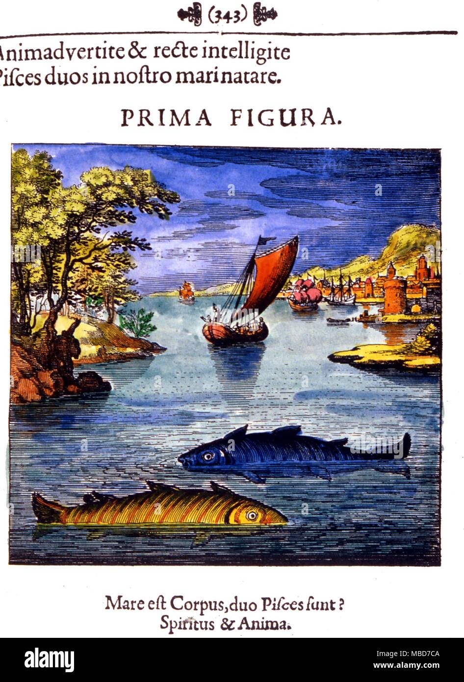 Alchemie - Fische von Geist und Seele in der physischen Welt eingetaucht. Von Lambsprinck'de Lapide Philosophisch', 1677. Stockfoto