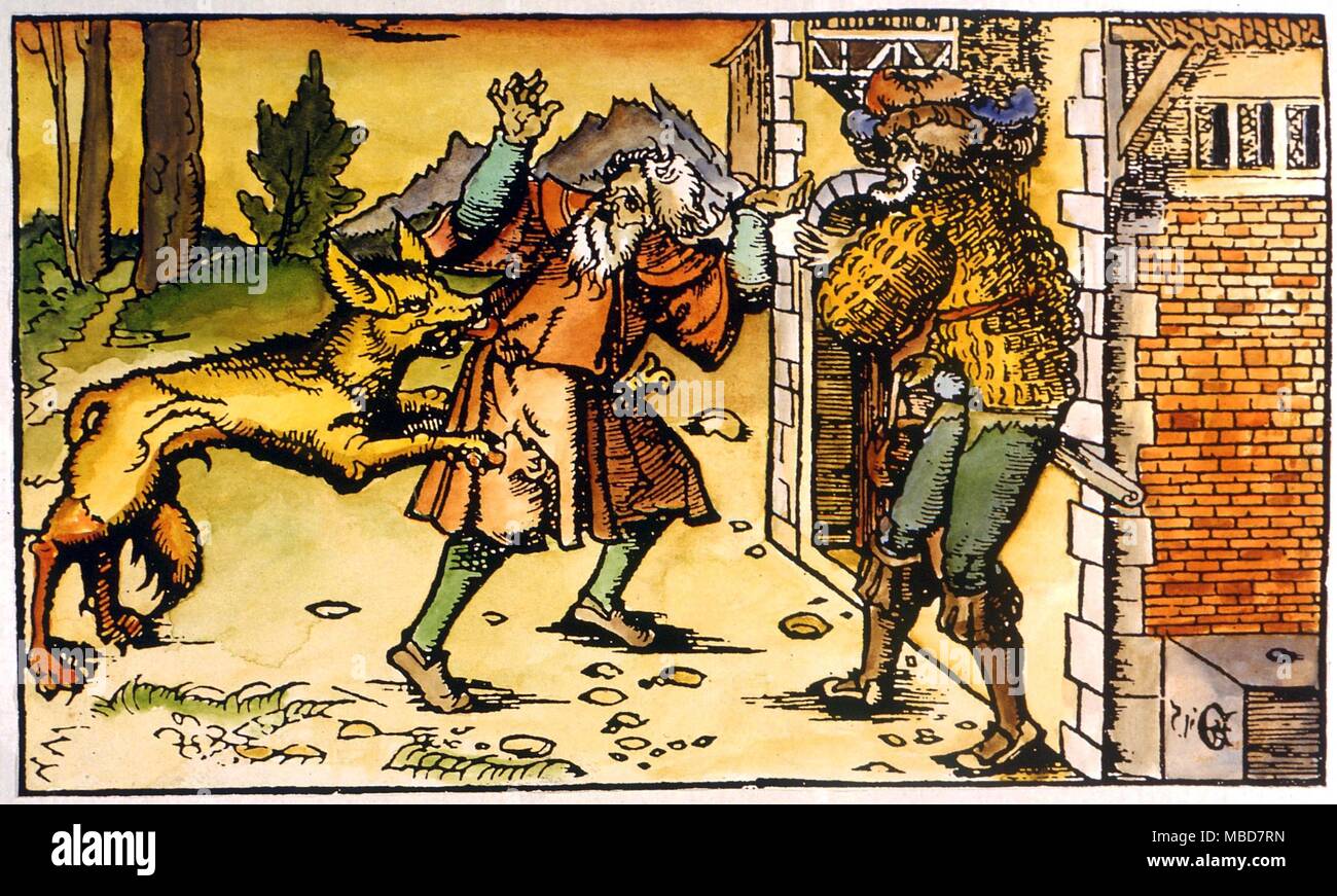 Wolf, geglaubt, eine Form zu sein - geändert von Menschen, gegen zwei Männer. Von Johann von kaiserberg von Emeis. 1520 Stockfoto