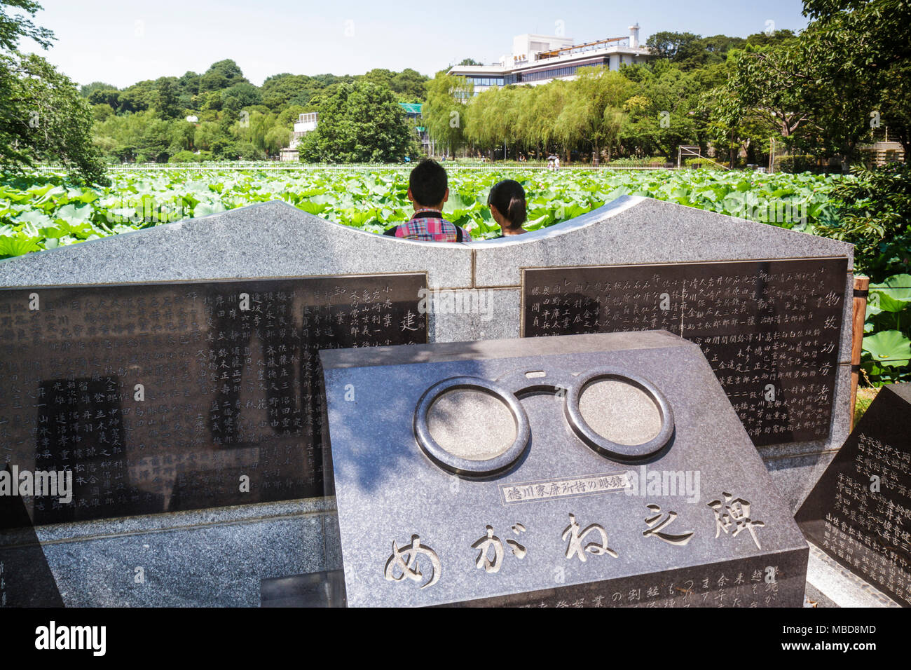 Tokio Japan, Ueno, Ueno Park, Ueno koen, Shinobazu Pond, Seerosen, Flora, Natur, Bentendo Hall-Schrein, Denkmal, Mann Männer Erwachsene Erwachsene Erwachsene, Frau weibliche Wom Stockfoto