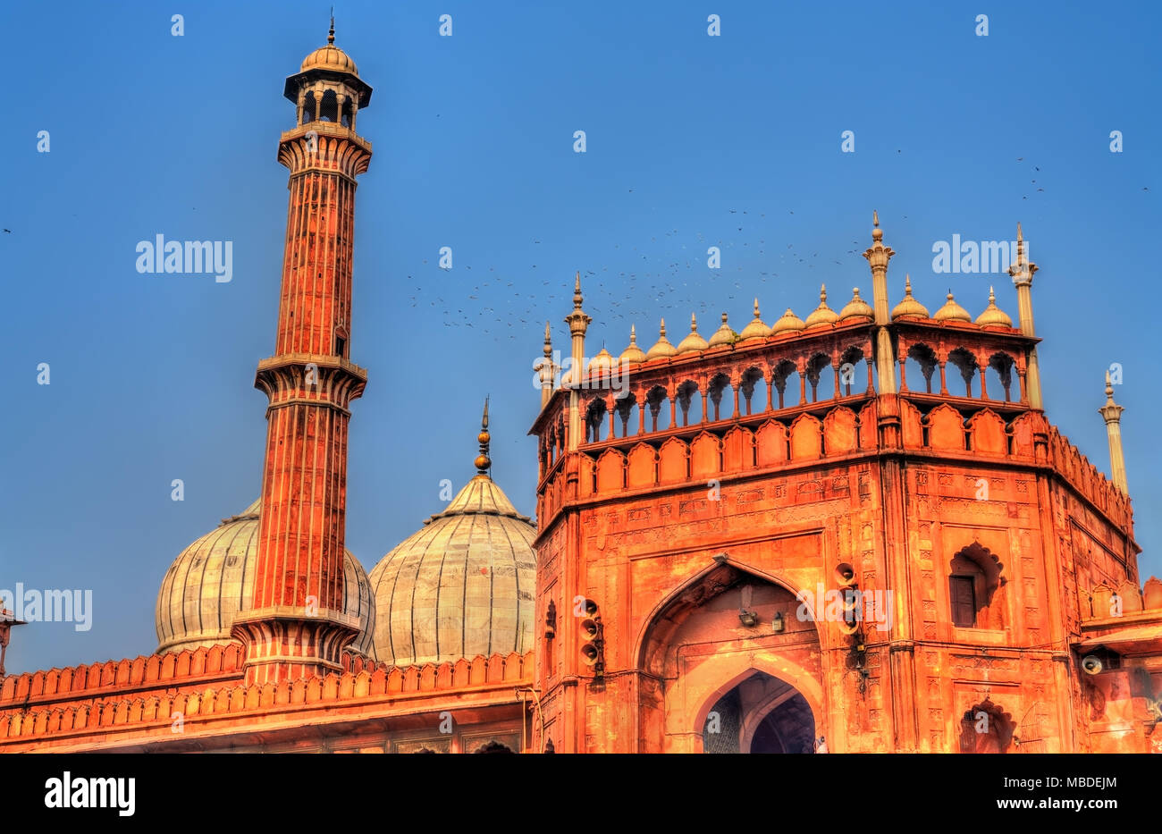 Jama Masjid, die größte Moschee von Delhi, Indien Stockfoto
