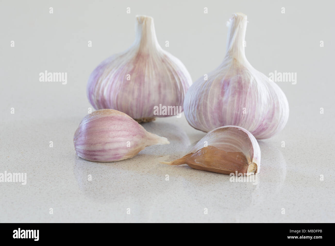 Violette Knoblauch Stockfoto