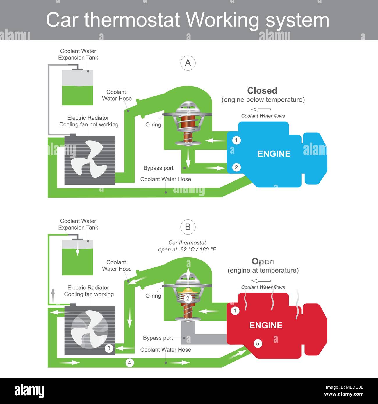 Wenn der Thermostat geschlossen ist, wird das Kühlmittel an der Wasserpumpe obwohl ein Bypass port Rohr und wieder zurück in das Motorsystem zurück. Motor teile Illustratio Stock Vektor