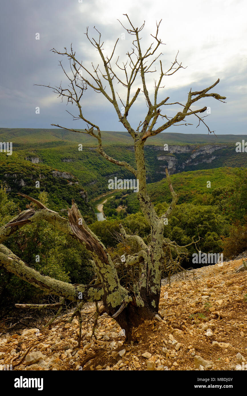 Die spektakuläre Kalksteinlandschaft des Gorges de l'Ardèche in der Region Rhône-Alpes im Süden Frankreichs Stockfoto