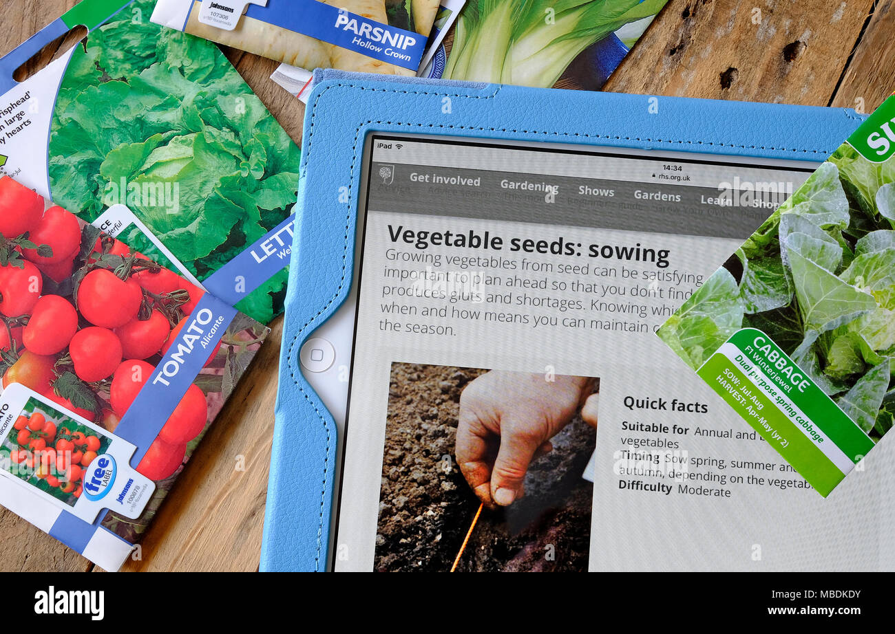 Gemüsegarten Samen in Pakete auf hölzernen Gartenhäuschen Sitzbank, Norfolk, England Stockfoto