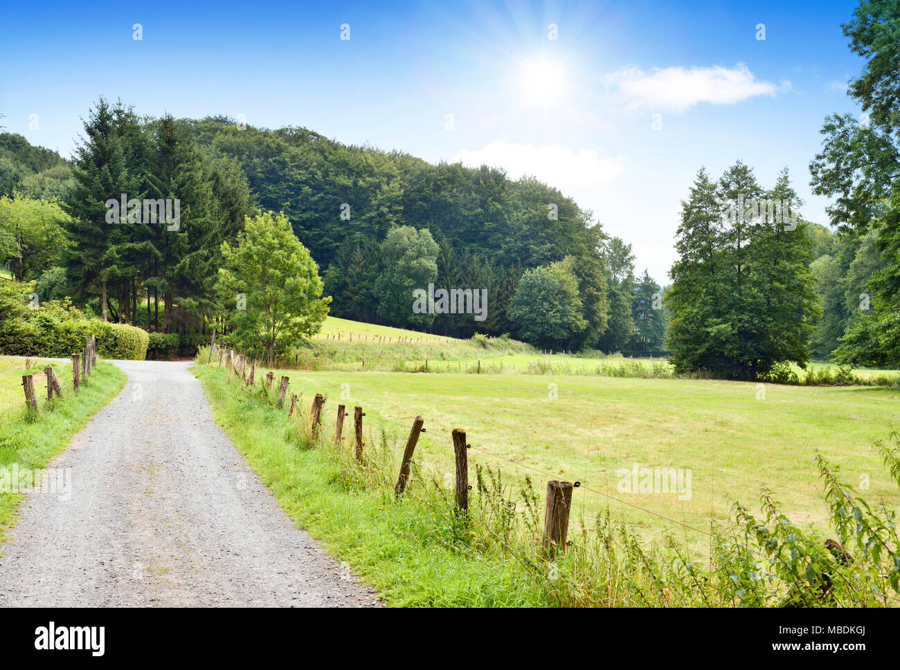 Country Road oder idyllischen Weg durch Wald und Felder. Landschaft mit Sonne und blauen Himmel. Stockfoto