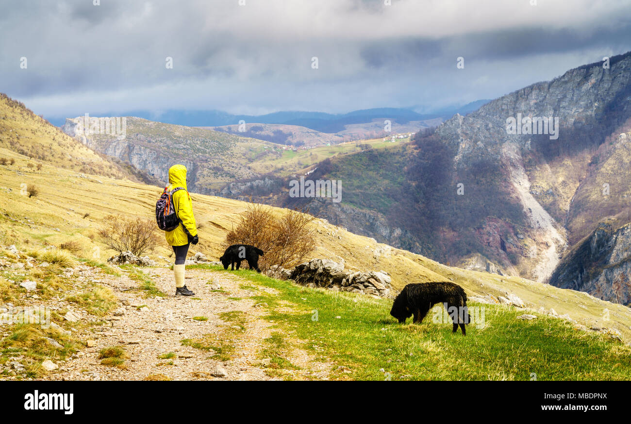 Frau ist Wandern in den Dinarischen Alpen in der Nähe von Sarajevo, Bosnien-Herzegowina Stockfoto