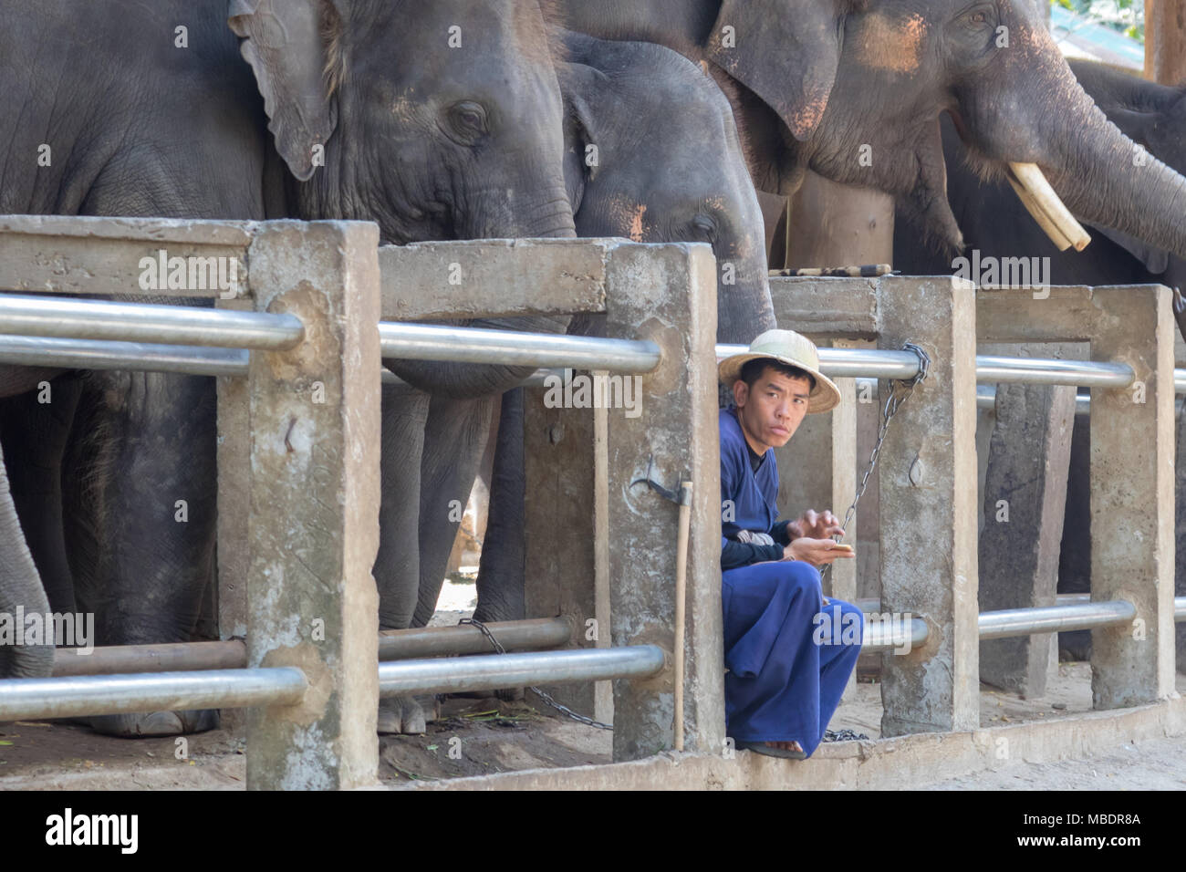 Handler eine Pause. Stockfoto