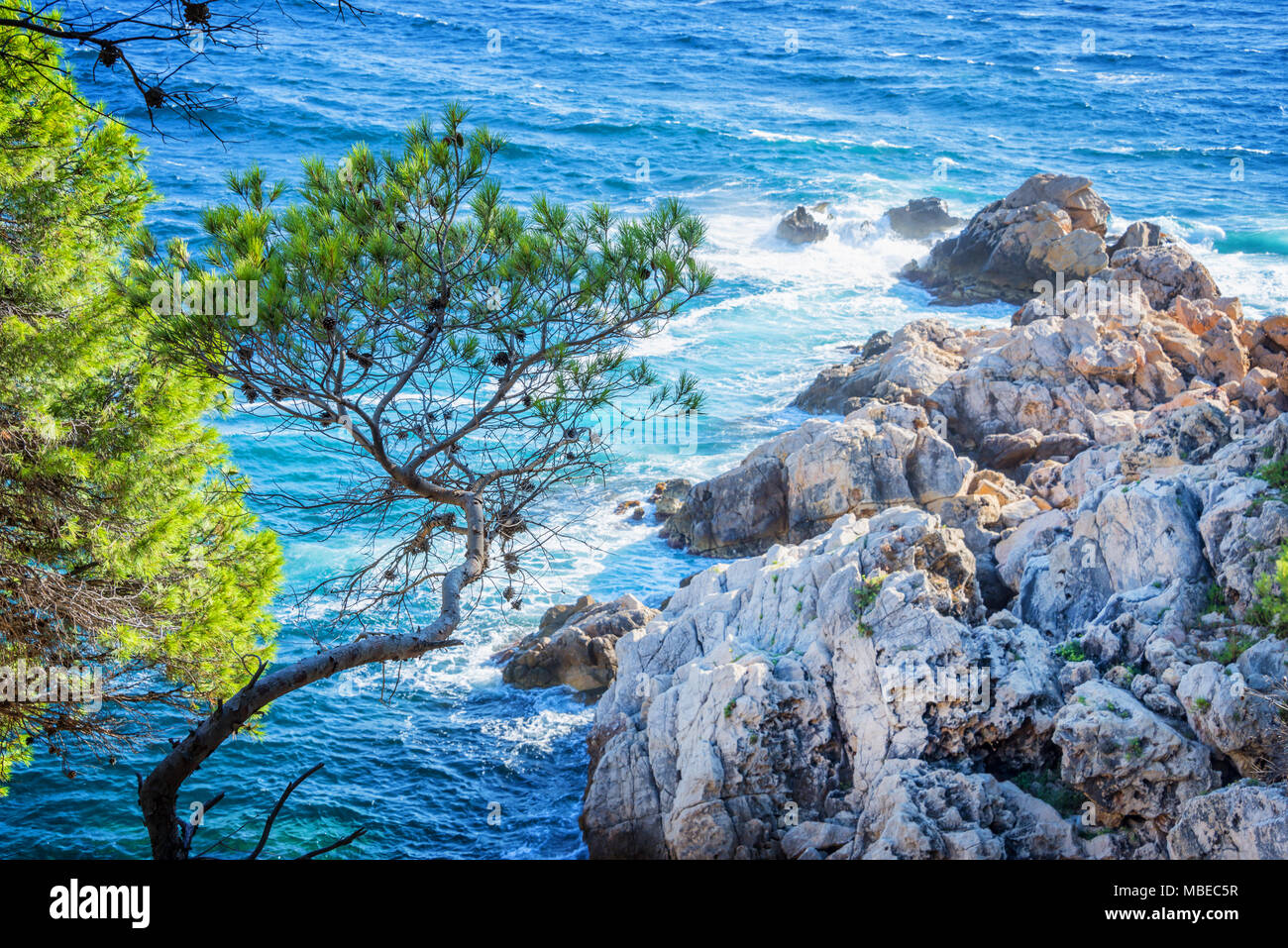 Calanque zwischen Cassis und Marseille, Frankreich Stockfoto