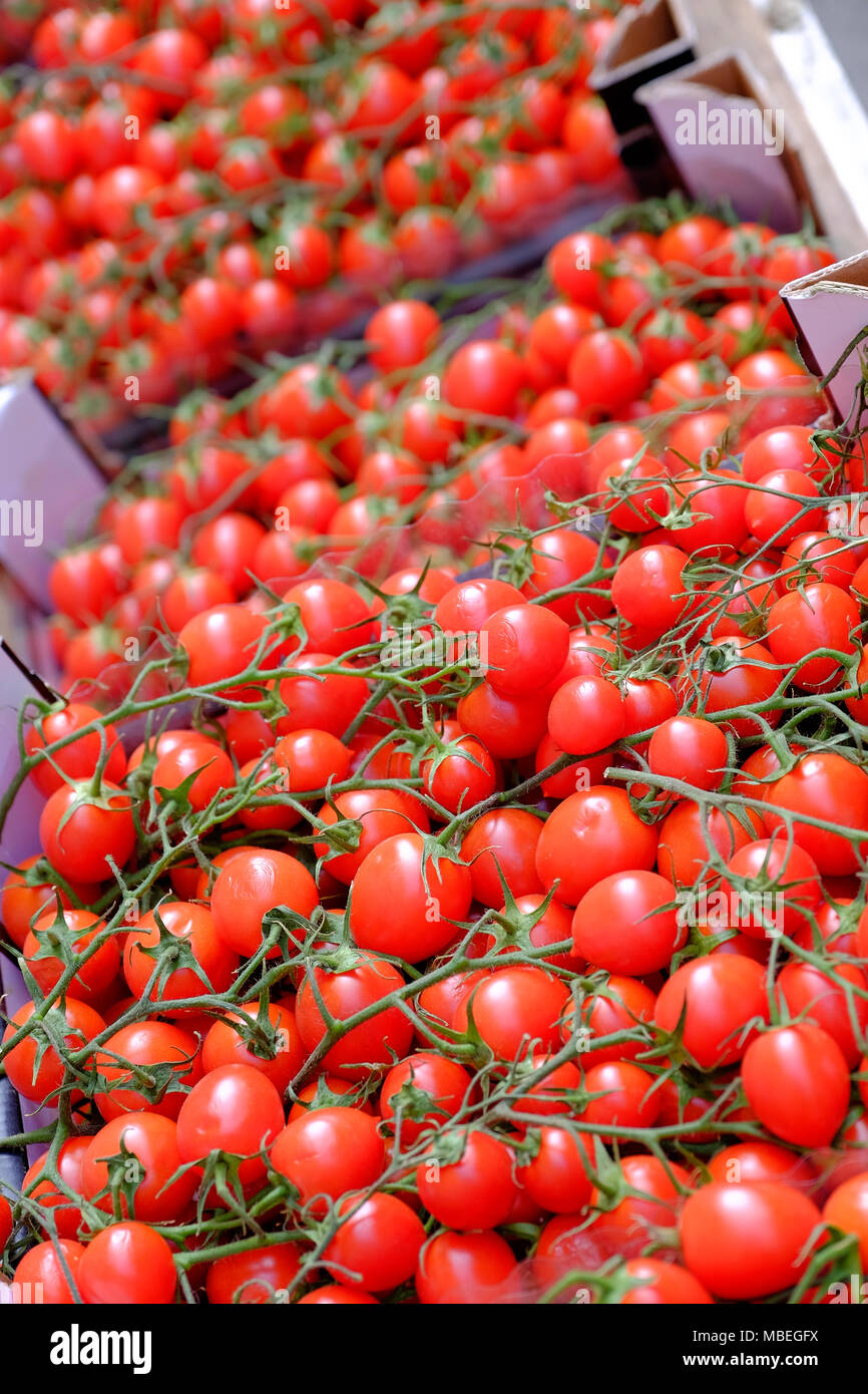 Boxen von roten Rebsorten Tomaten zum Verkauf in einem Markt Stockfoto