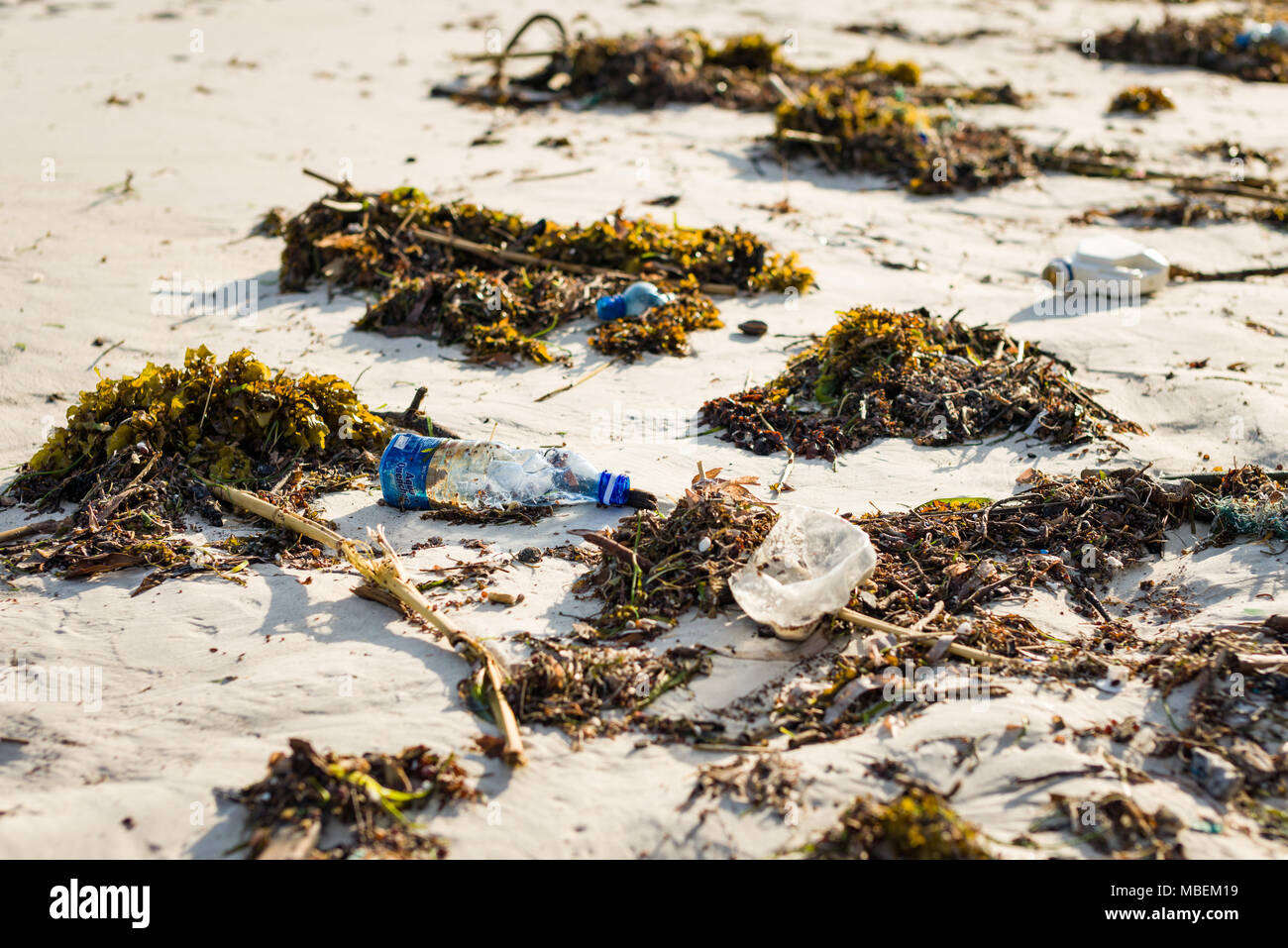 Kunststoffabfälle liegt an der Küste von einem weißen Sandstrand Stockfoto