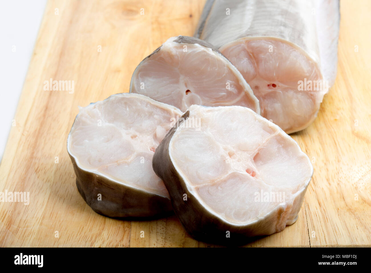 Steaks und Heck von einem Europäischen conger Aal gefangen von Chesil Beach Dorset UK. Steaks vom Heck eines Conger enthalten viele kleine Stockfoto