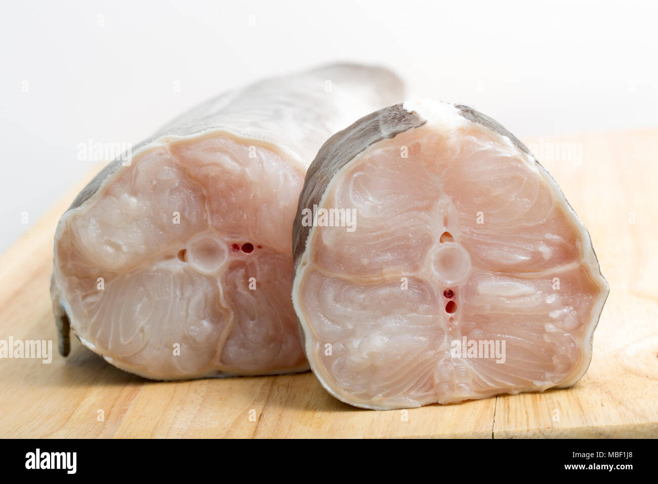 Steaks und Heck von einem Europäischen conger Aal gefangen von Chesil Beach Dorset UK. Steaks vom Heck eines Conger enthalten viele kleine Stockfoto