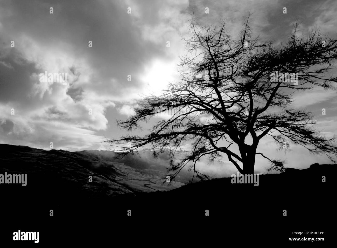 Herbstliche Blick auf den englischen Lake District Stockfoto