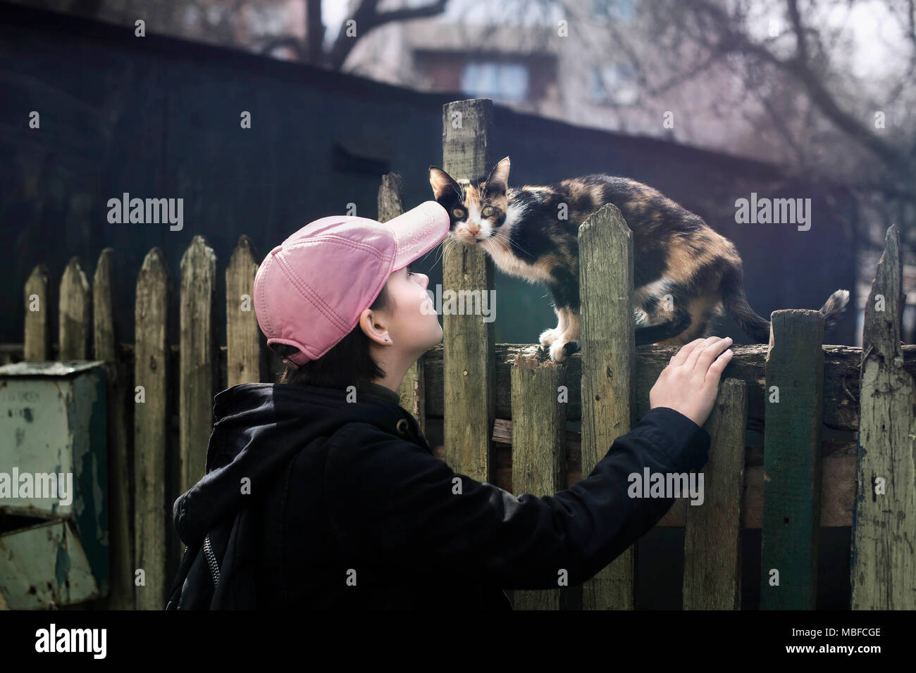 Ein Mädchen in einem rosa Baseball Cap und eine schwarze Jacke neben eine streunende Katze auf einem alten grünen Zaun. Minsk, Weißrussland. Stockfoto