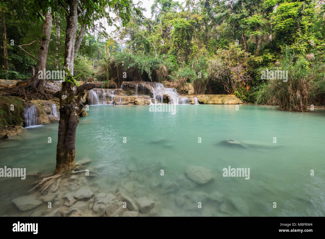 Wunderschöne Aussicht auf kleine Kaskaden und einen flachen Pool am Tat Kuang Si Wasserfälle in der Nähe von Luang Prabang in Laos. Stockfoto