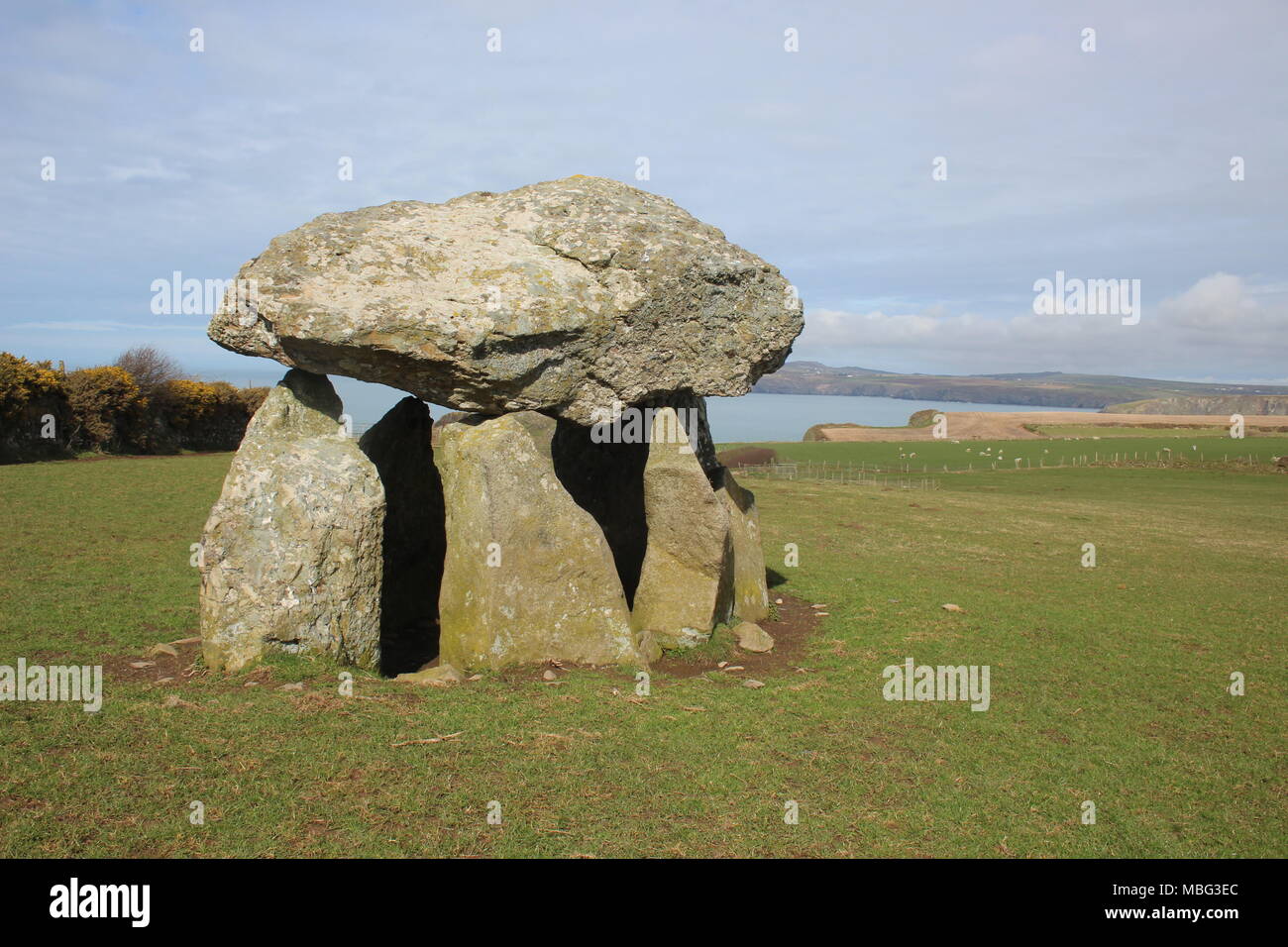 Carreg Samson, eine neolithische Grabkammer, in der Nähe von Abercastle, Pemrbokeshire, Wales Stockfoto