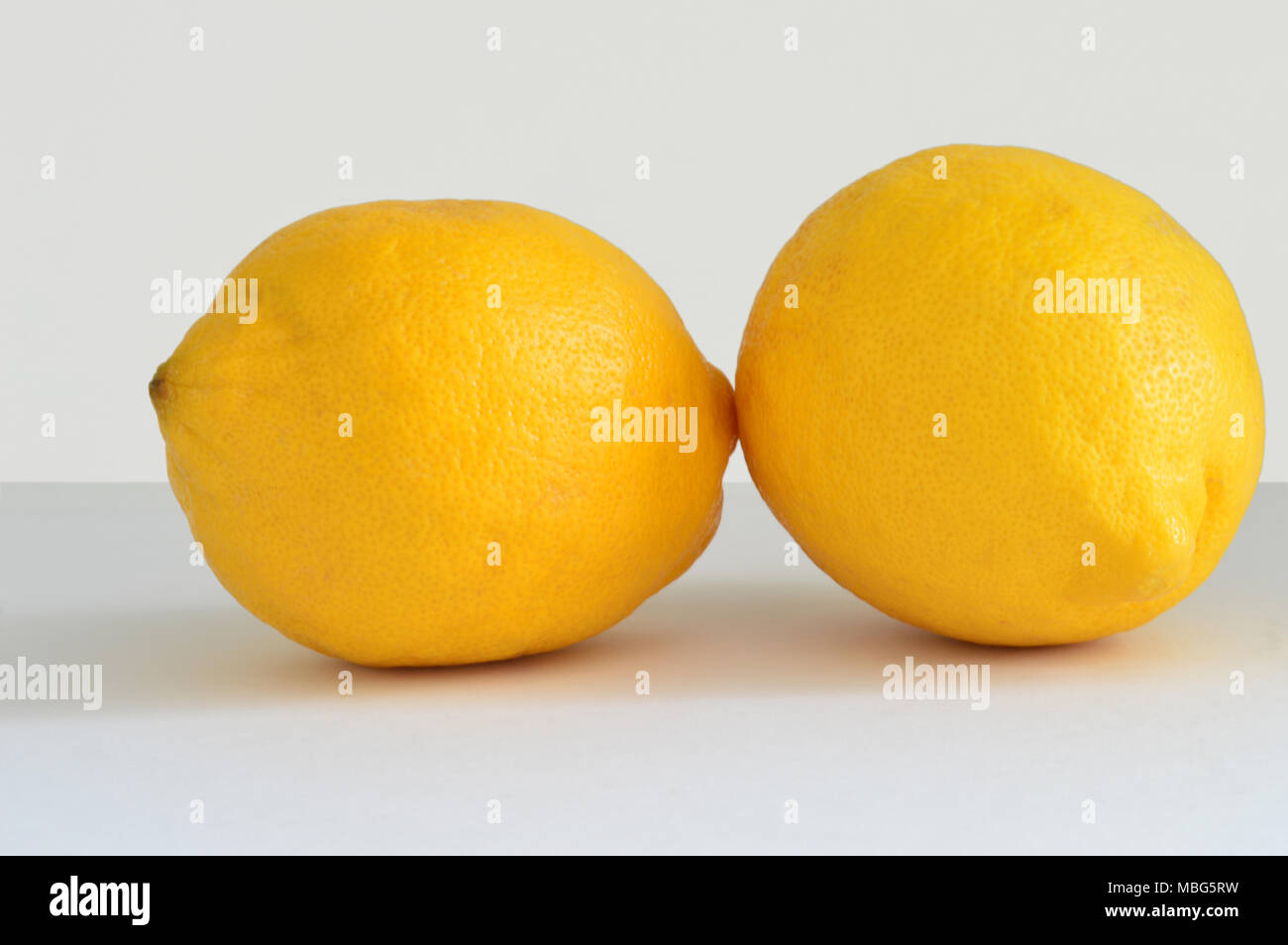 Zwei Zitronen auf neutralem Hintergrund isoliert Stockfoto