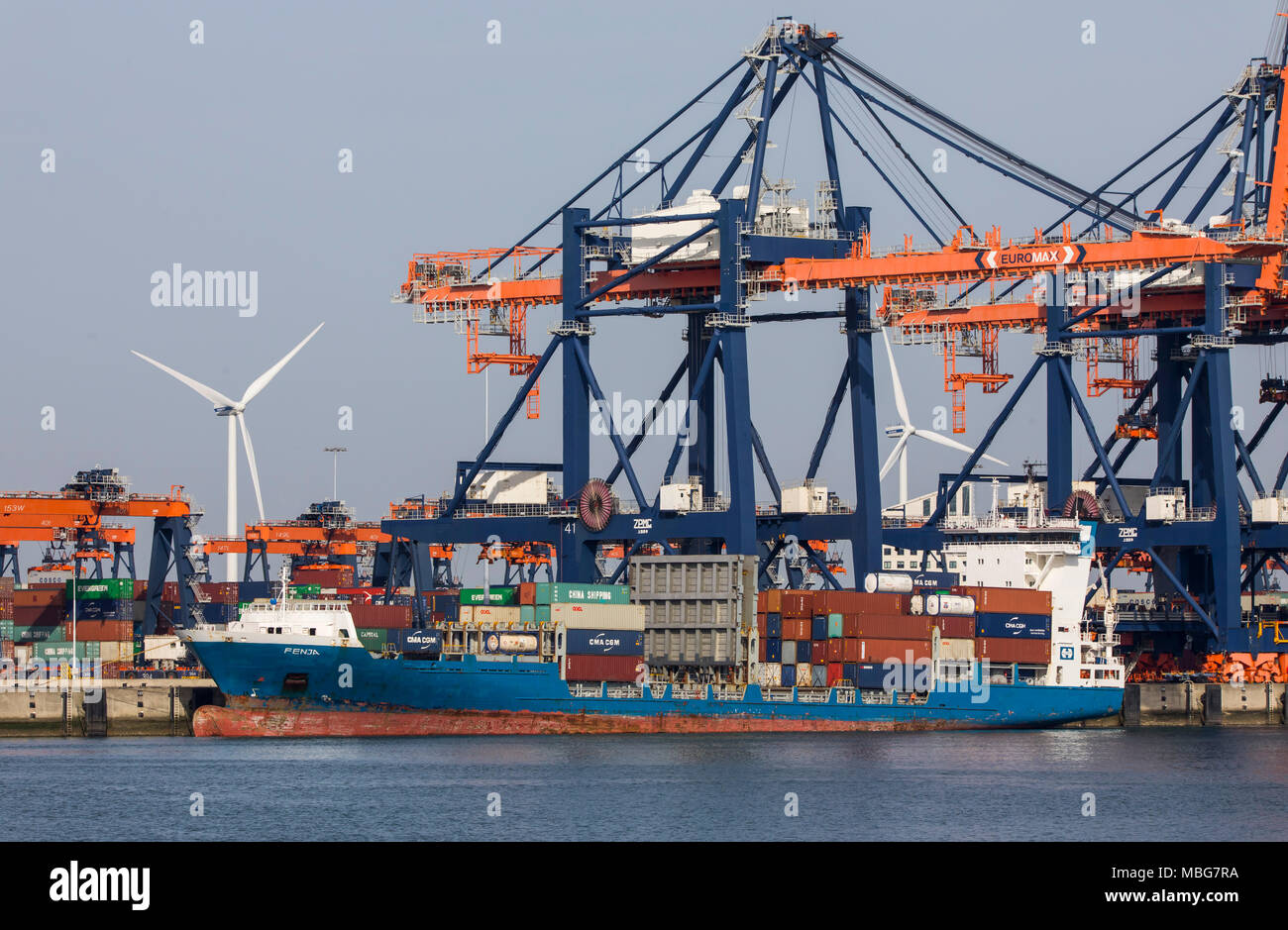 Der Hafen von Rotterdam, Niederlande, Deep-sea port Maasvlakte 2, auf einer künstlich geschaffenen Land Bereich vor der ursprünglichen Küste, Euromax Contai Stockfoto