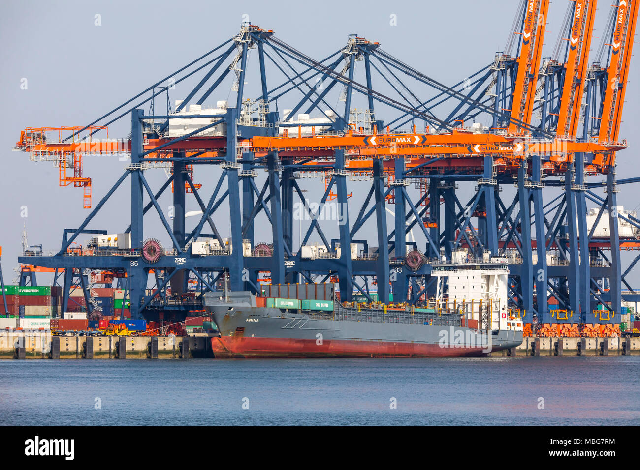 Der Hafen von Rotterdam, Niederlande, Deep-sea port Maasvlakte 2, auf einer künstlich geschaffenen Land Bereich vor der ursprünglichen Küste, Euromax Contai Stockfoto