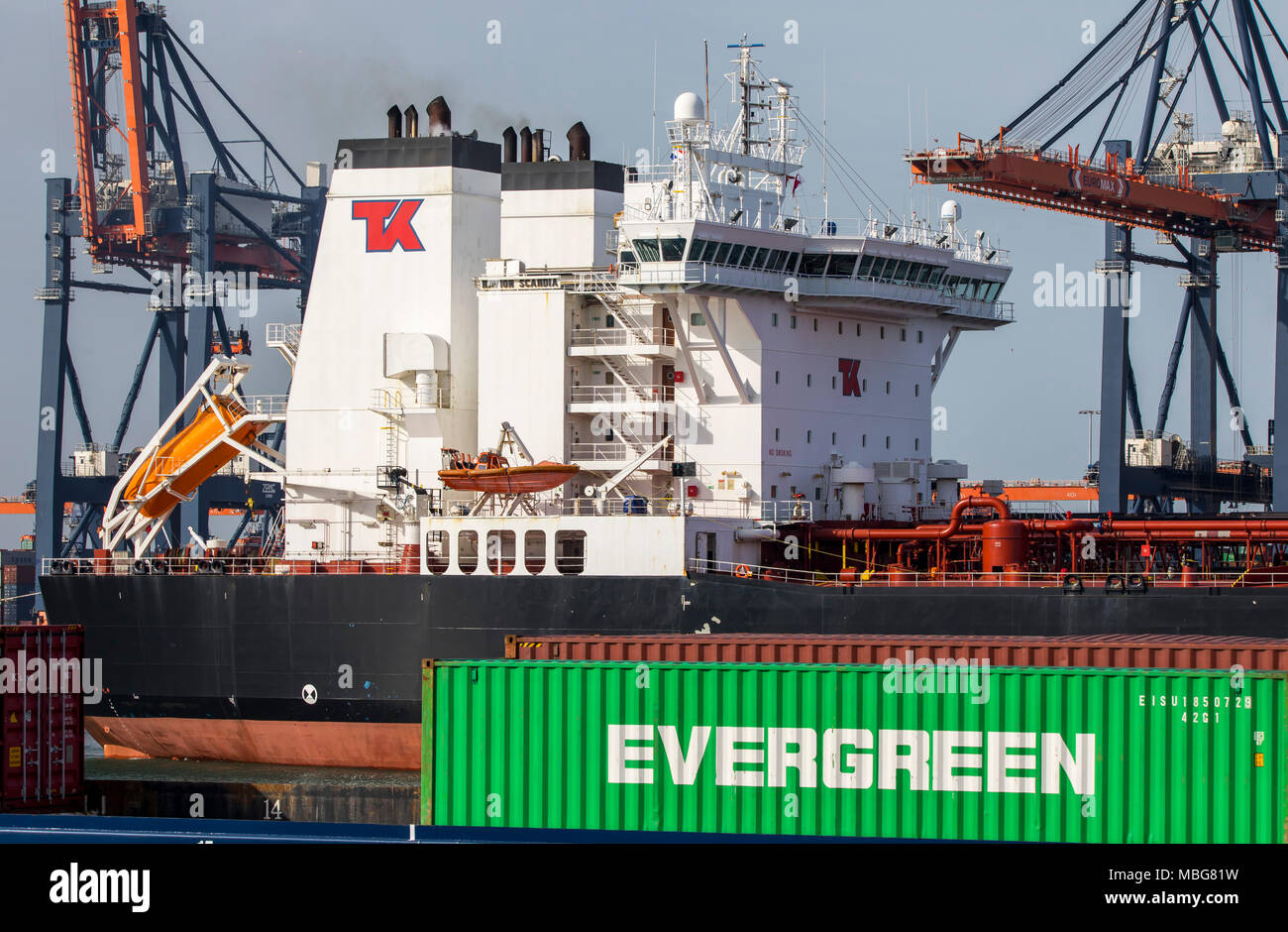 Der Hafen von Rotterdam, Niederlande, Deep-sea port Maasvlakte 2, auf einer künstlich geschaffenen Land Bereich vor der ursprünglichen Küste, Euromax Contai Stockfoto