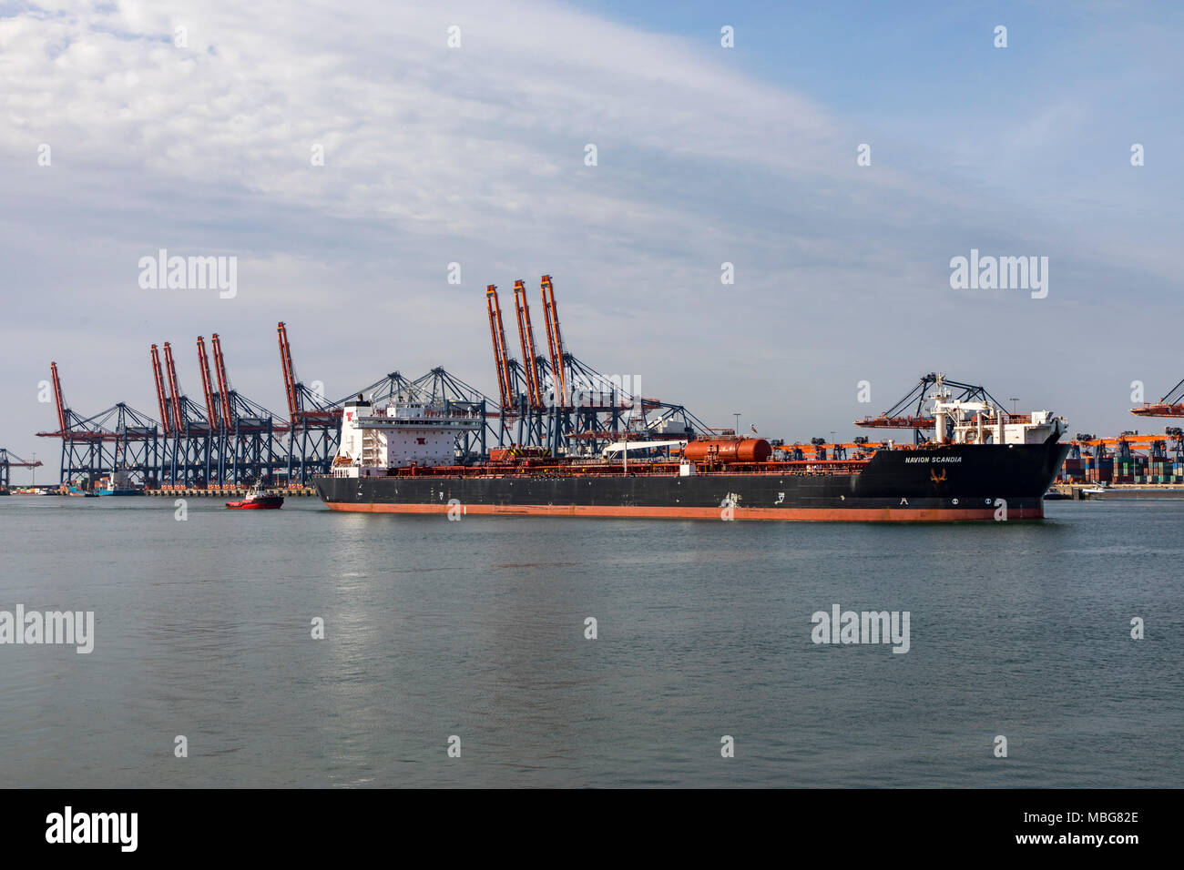 Der Hafen von Rotterdam, Niederlande, Deep-sea port Maasvlakte 2, auf einer künstlich geschaffenen Land Bereich vor der ursprünglichen Küste, Euromax Contai Stockfoto