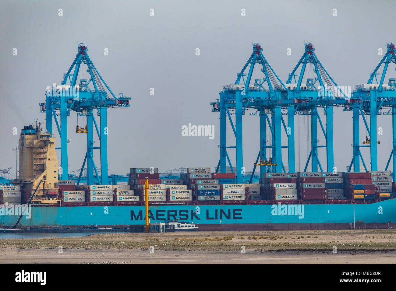 Der Hafen von Rotterdam, Niederlande, Deep-sea port Maasvlakte 2, auf einer künstlich geschaffenen Land Bereich vor der ursprünglichen Küste, APM-Container Stockfoto