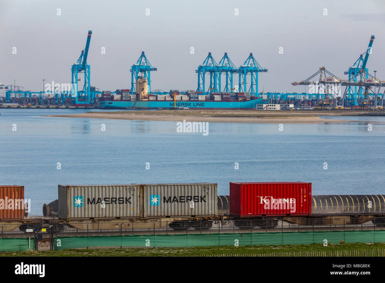 Der Hafen von Rotterdam, Niederlande, Deep-sea port Maasvlakte 2, auf einer künstlich geschaffenen Land Bereich vor der ursprünglichen Küste, APM-Container Stockfoto