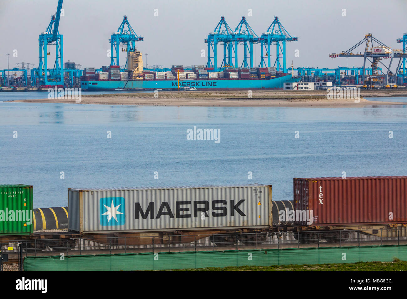 Der Hafen von Rotterdam, Niederlande, Deep-sea port Maasvlakte 2, auf einer künstlich geschaffenen Land Bereich vor der ursprünglichen Küste, APM-Container Stockfoto