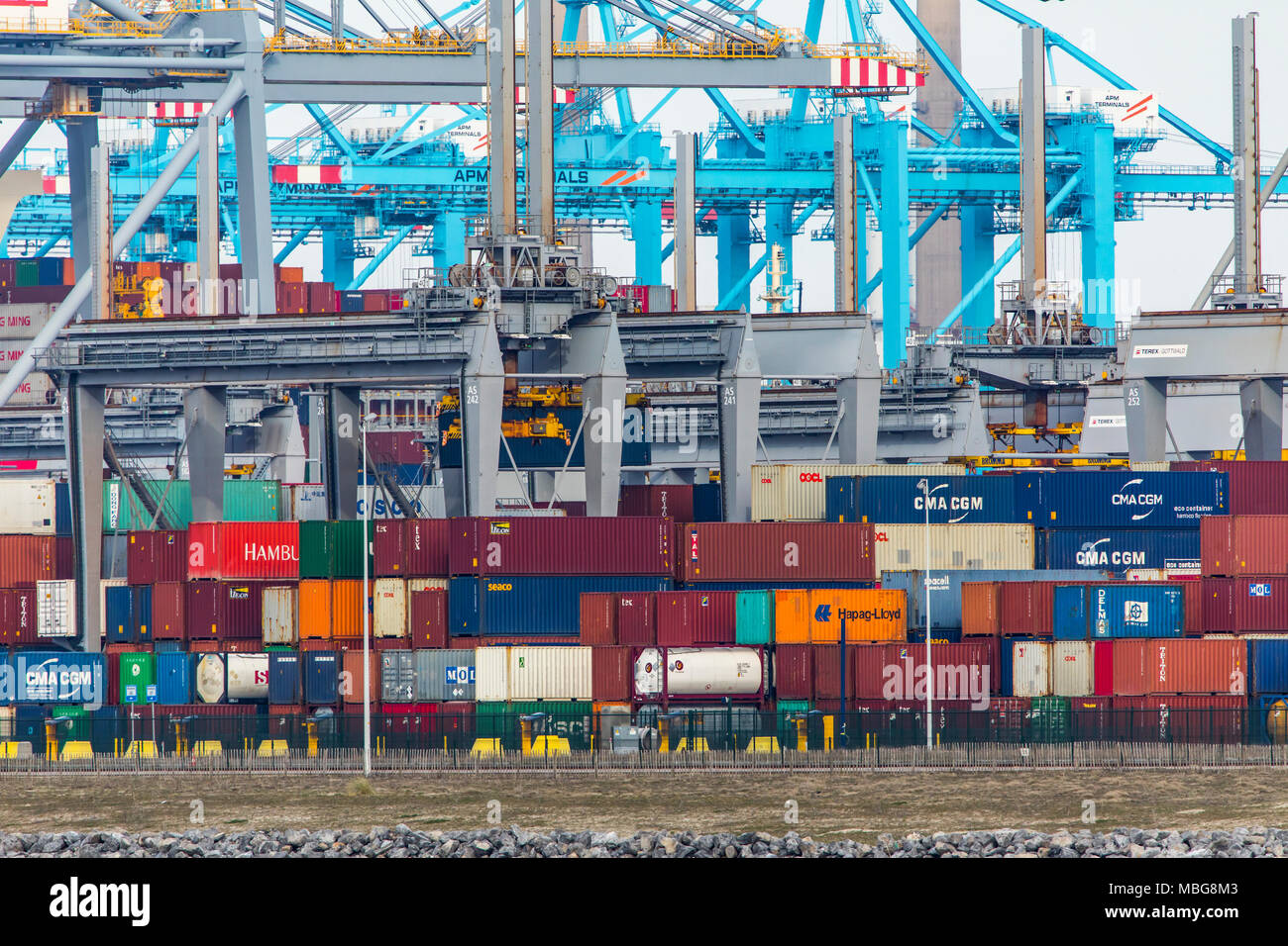 Der Hafen von Rotterdam, Niederlande, Deep-sea port Maasvlakte 2, auf einer künstlich geschaffenen Land Bereich vor der ursprünglichen Küste, Rotterdam Worl Stockfoto