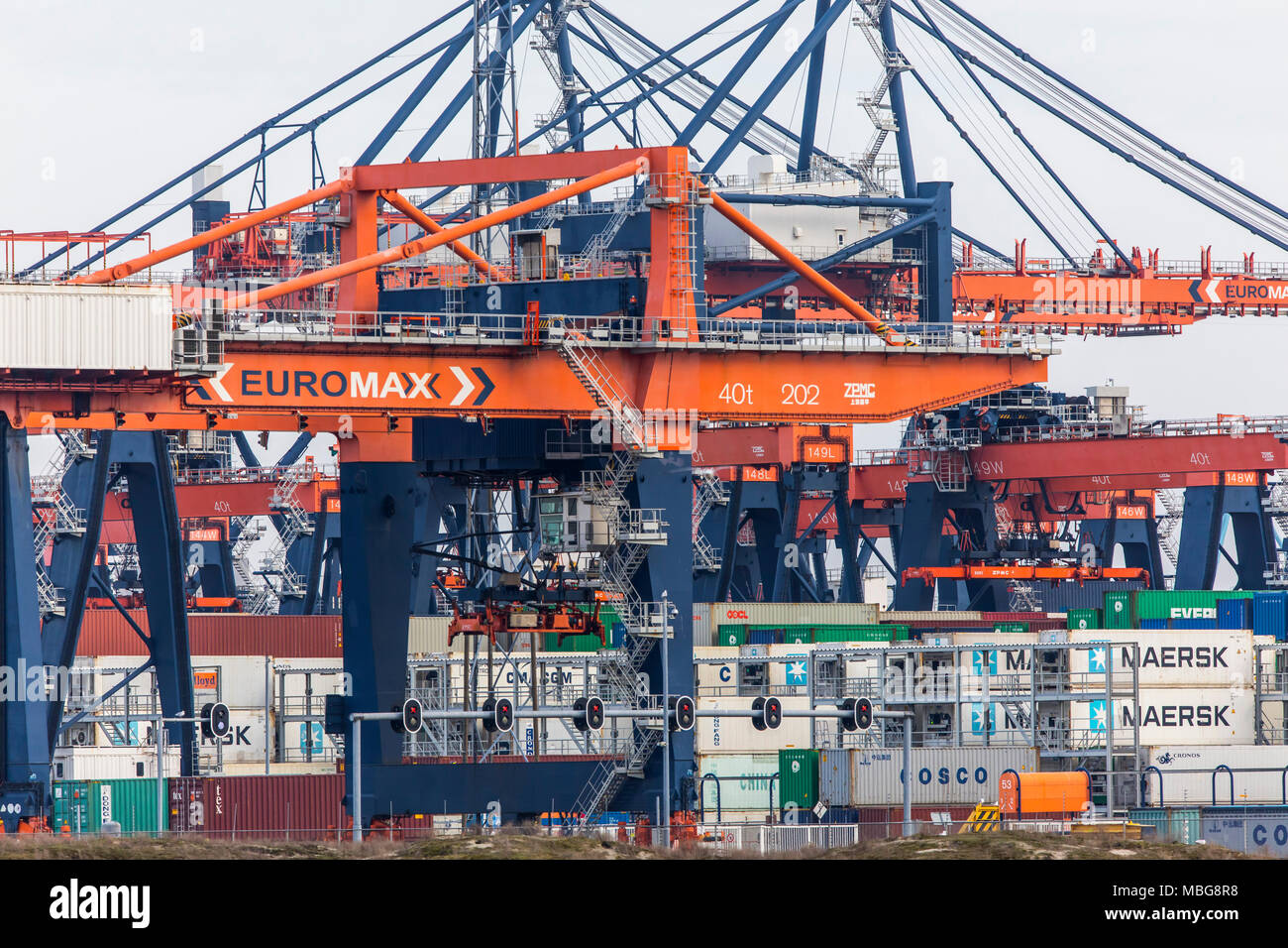 Der Hafen von Rotterdam, Niederlande, Deep-sea port Maasvlakte 2, auf einer künstlich geschaffenen Land Bereich vor der ursprünglichen Küste, Euromax Contai Stockfoto