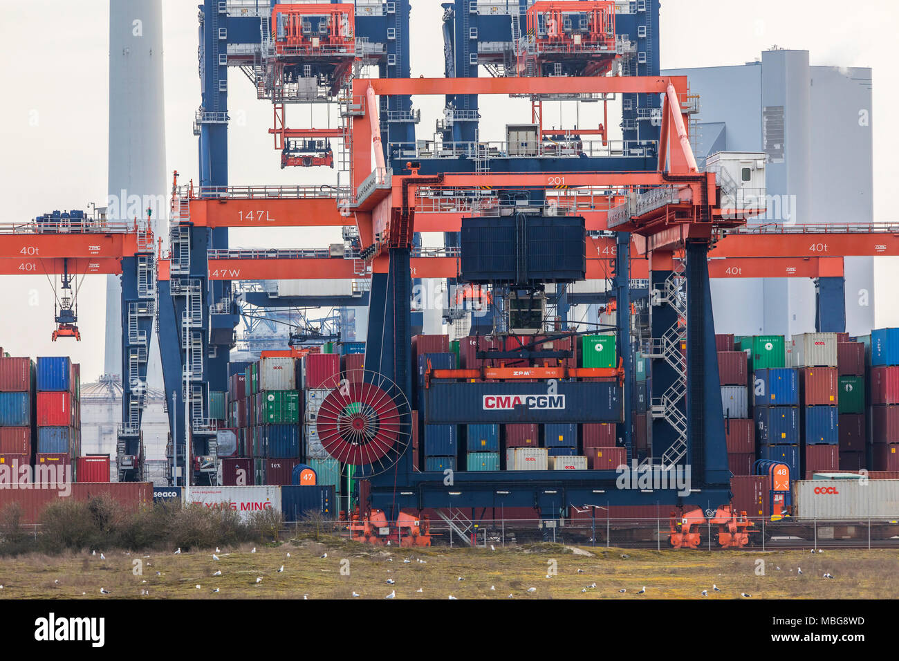 Der Hafen von Rotterdam, Niederlande, Deep-sea port Maasvlakte 2, auf einer künstlich geschaffenen Land Bereich vor der ursprünglichen Küste, Euromax Contai Stockfoto