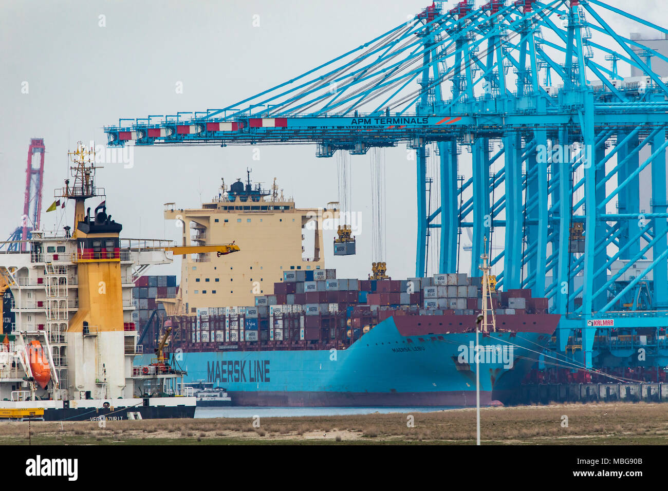 Der Hafen von Rotterdam, Niederlande, Deep-sea port Maasvlakte 2, auf einer künstlich geschaffenen Land Bereich vor der ursprünglichen Küste, APM-Container Stockfoto