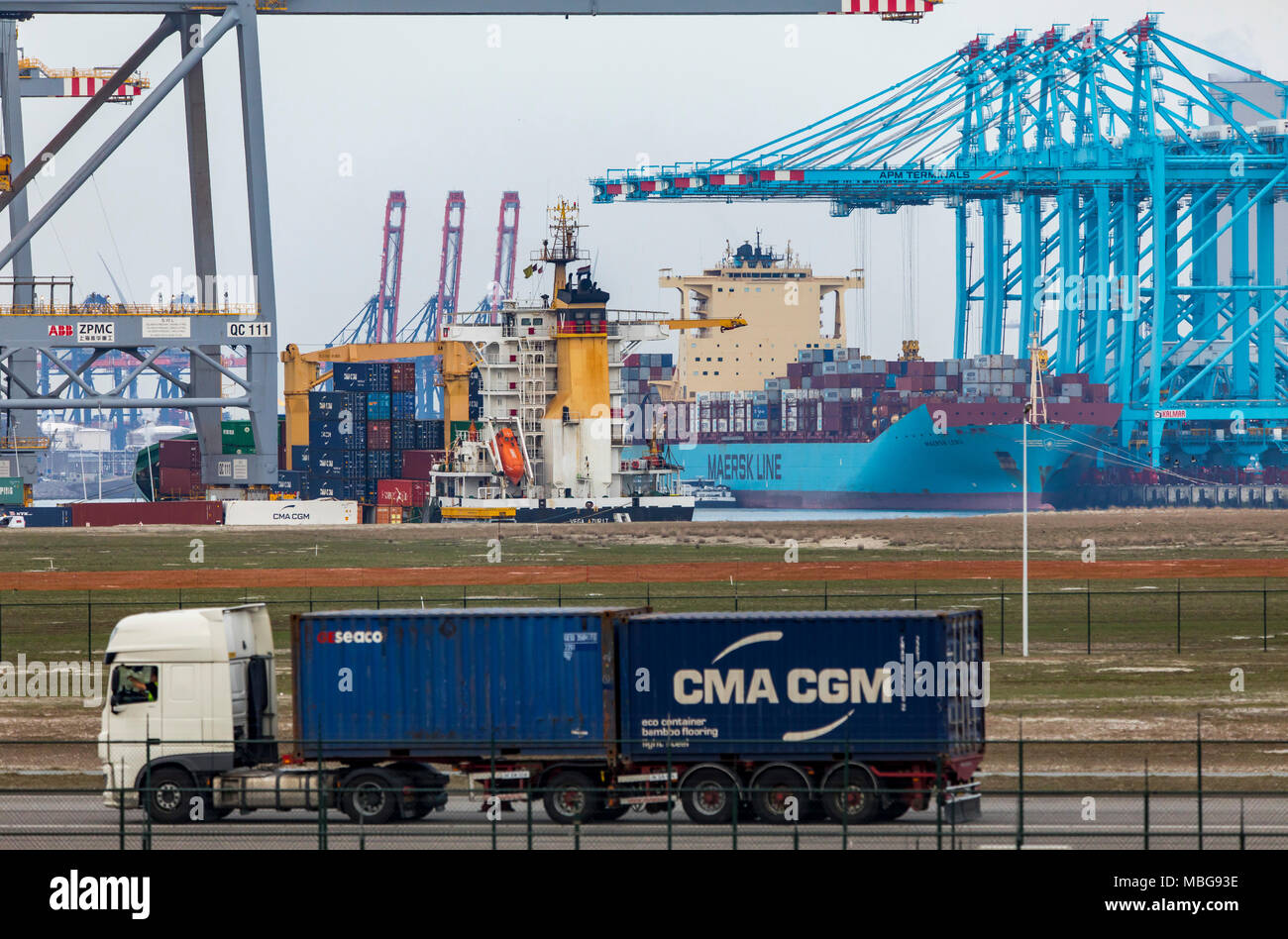 Der Hafen von Rotterdam, Niederlande, Deep-sea port Maasvlakte 2, auf einer künstlich geschaffenen Land Bereich vor der ursprünglichen Küste, APM-Container Stockfoto