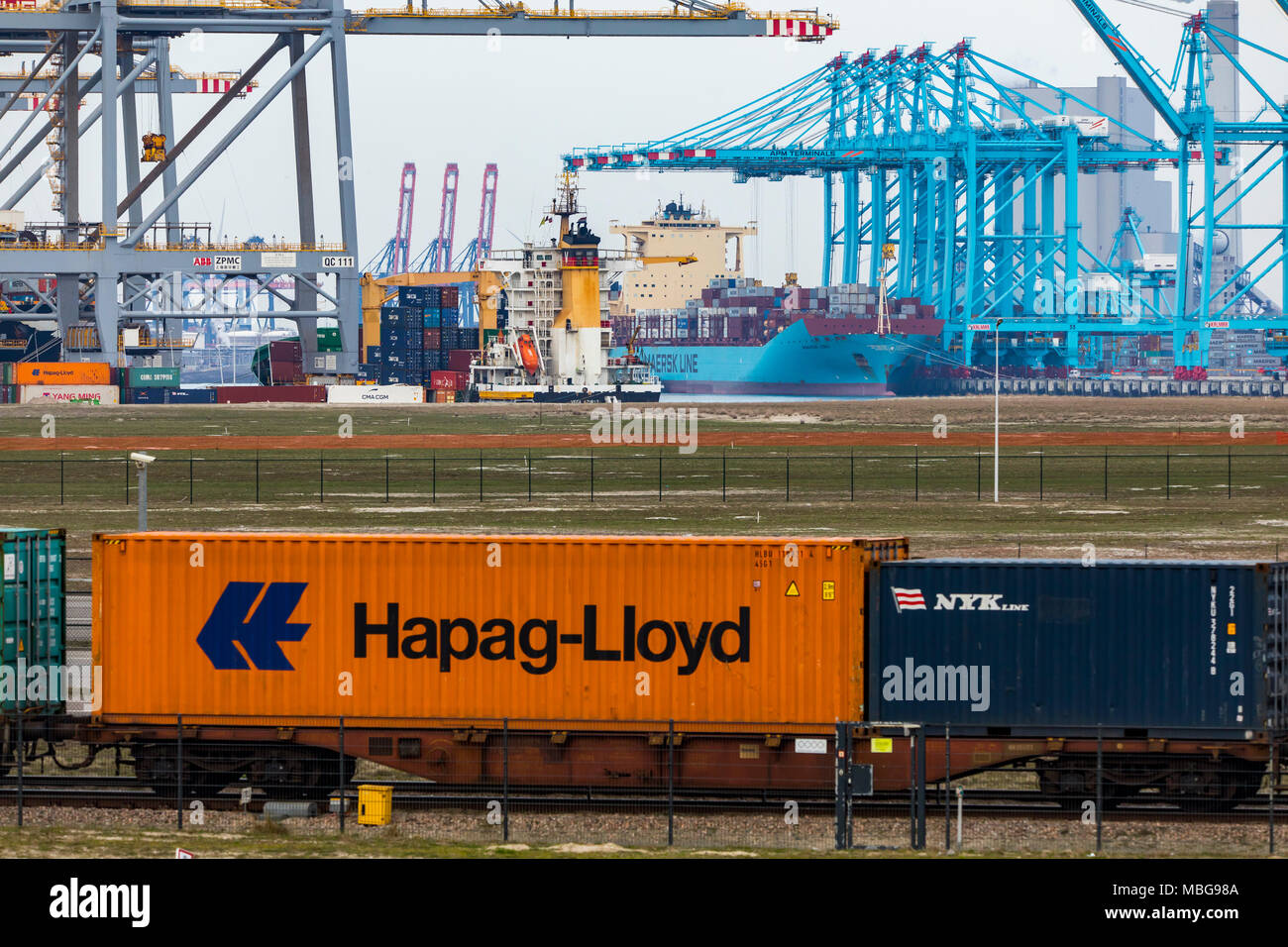 Der Hafen von Rotterdam, Niederlande, Deep-sea port Maasvlakte 2, auf einer künstlich geschaffenen Land Bereich vor der ursprünglichen Küste, APM-Container Stockfoto