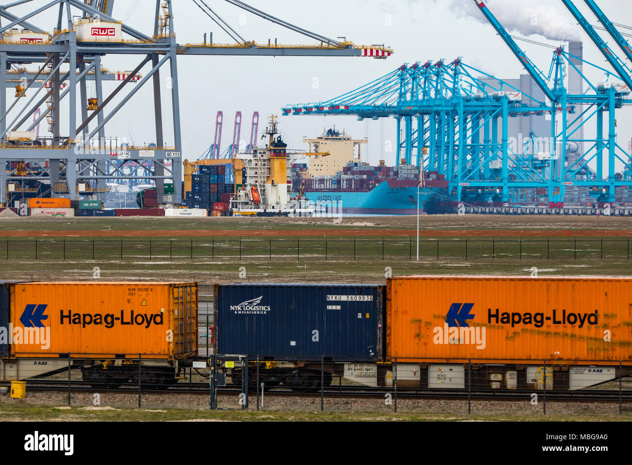 Der Hafen von Rotterdam, Niederlande, Deep-sea port Maasvlakte 2, auf einer künstlich geschaffenen Land Bereich vor der ursprünglichen Küste, APM-Container Stockfoto