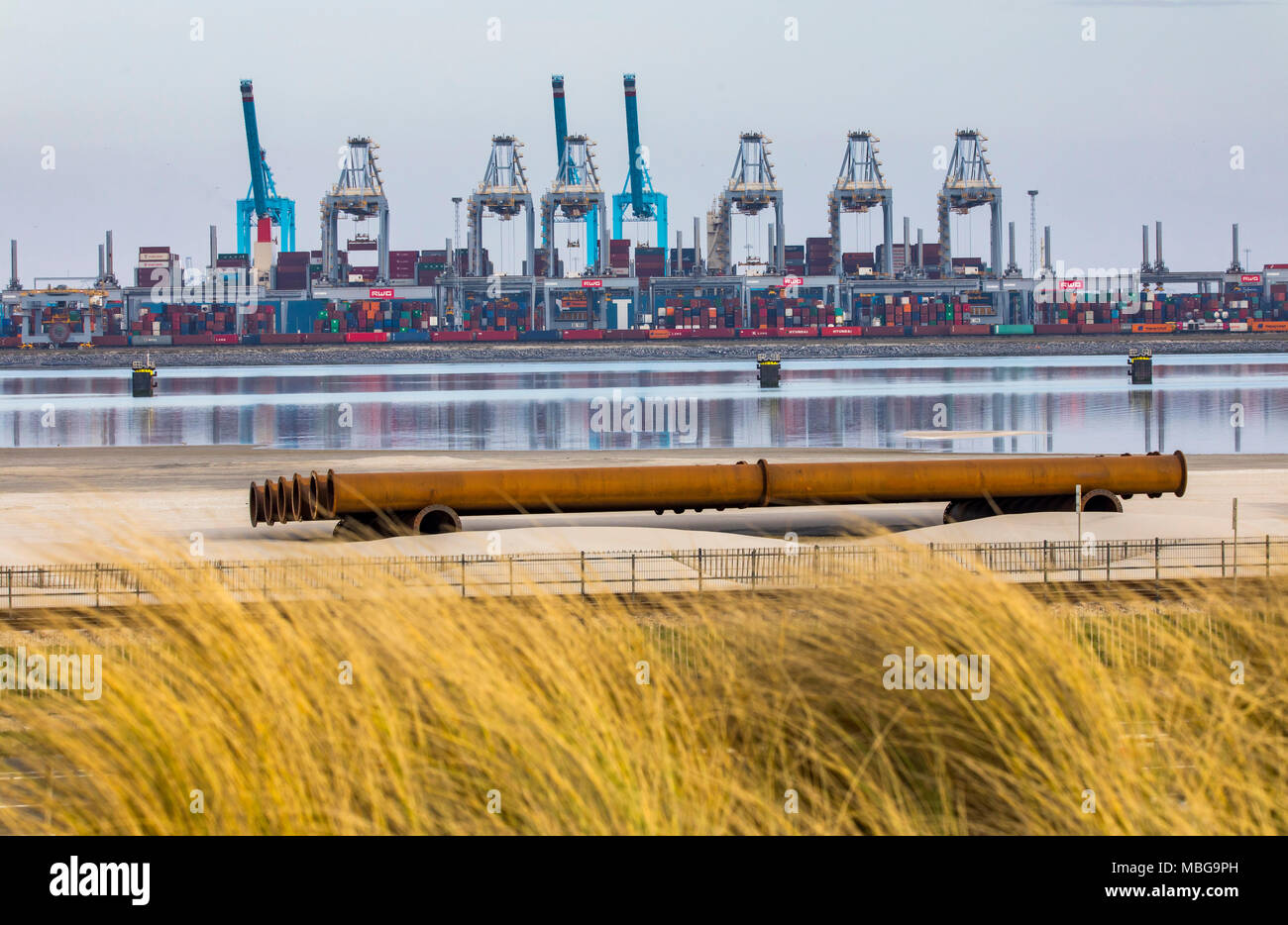 Der Hafen von Rotterdam, Niederlande, Deep-sea port Maasvlakte 2, auf einer künstlich geschaffenen Land Bereich vor der ursprünglichen Küste, Rotterdam Worl Stockfoto