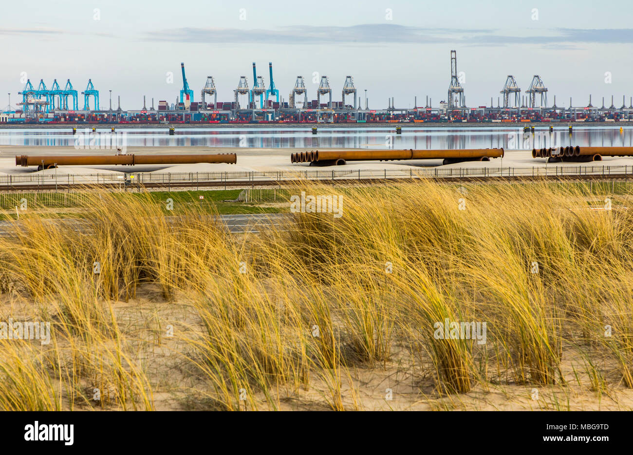 Der Hafen von Rotterdam, Niederlande, Deep-sea port Maasvlakte 2, auf einer künstlich geschaffenen Land Bereich vor der ursprünglichen Küste, Rotterdam Worl Stockfoto