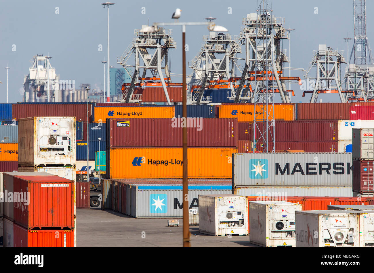 Der Hafen von Rotterdam, Niederlande, Deep Sea Port Maasvlakte 2, auf einem Man-made Land Bereich vor der ursprünglichen Küste, Container, Lagerung, Stockfoto