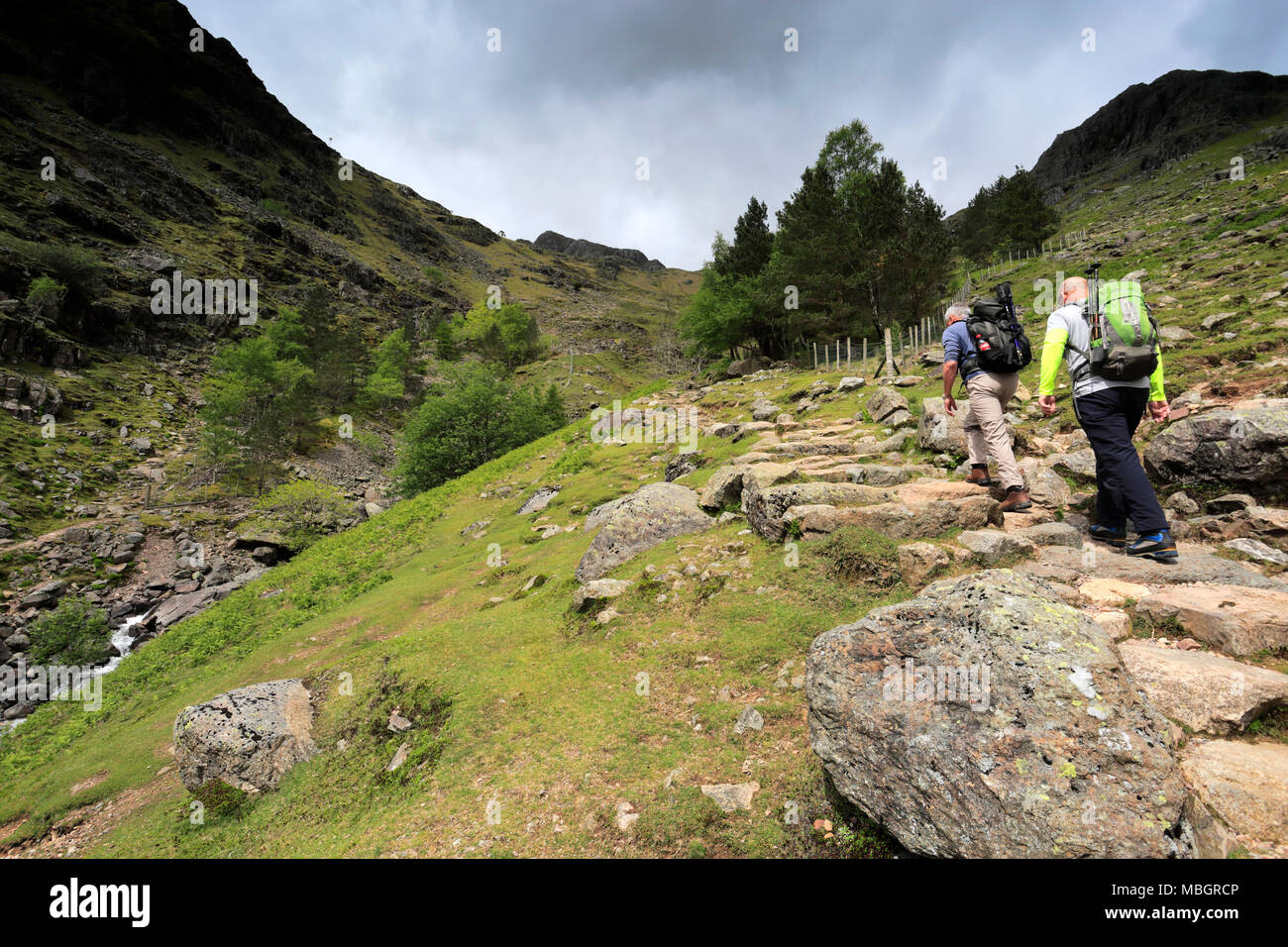 Spaziergänger auf Dungeon Ghyll, Langdale, Nationalpark Lake District, Cumbria, England, Großbritannien Stockfoto