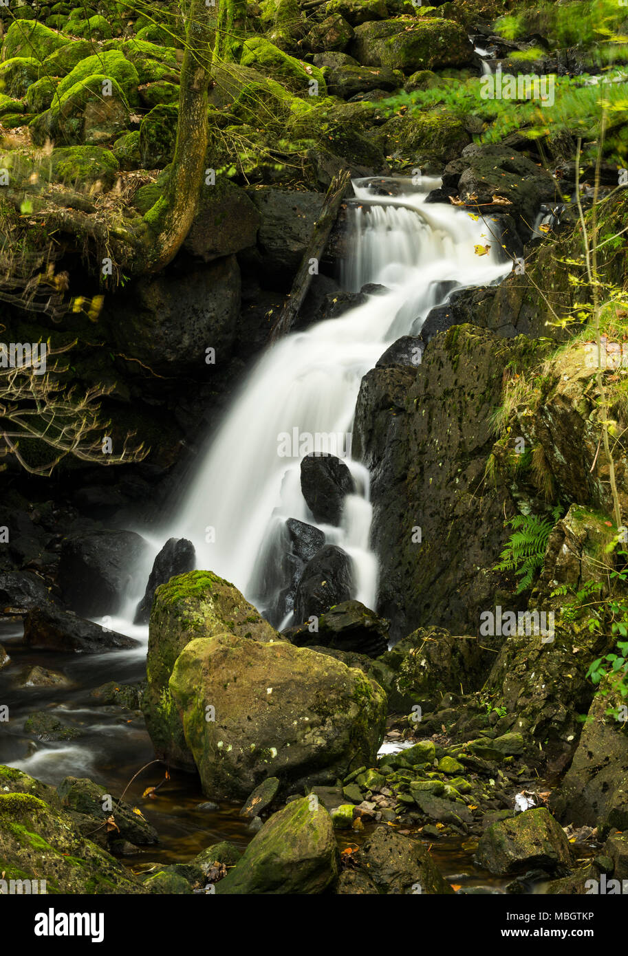 Dob Gill Wasserfall, in Thirlmere Reservoir im englischen Lake District aufsteigt. Stockfoto